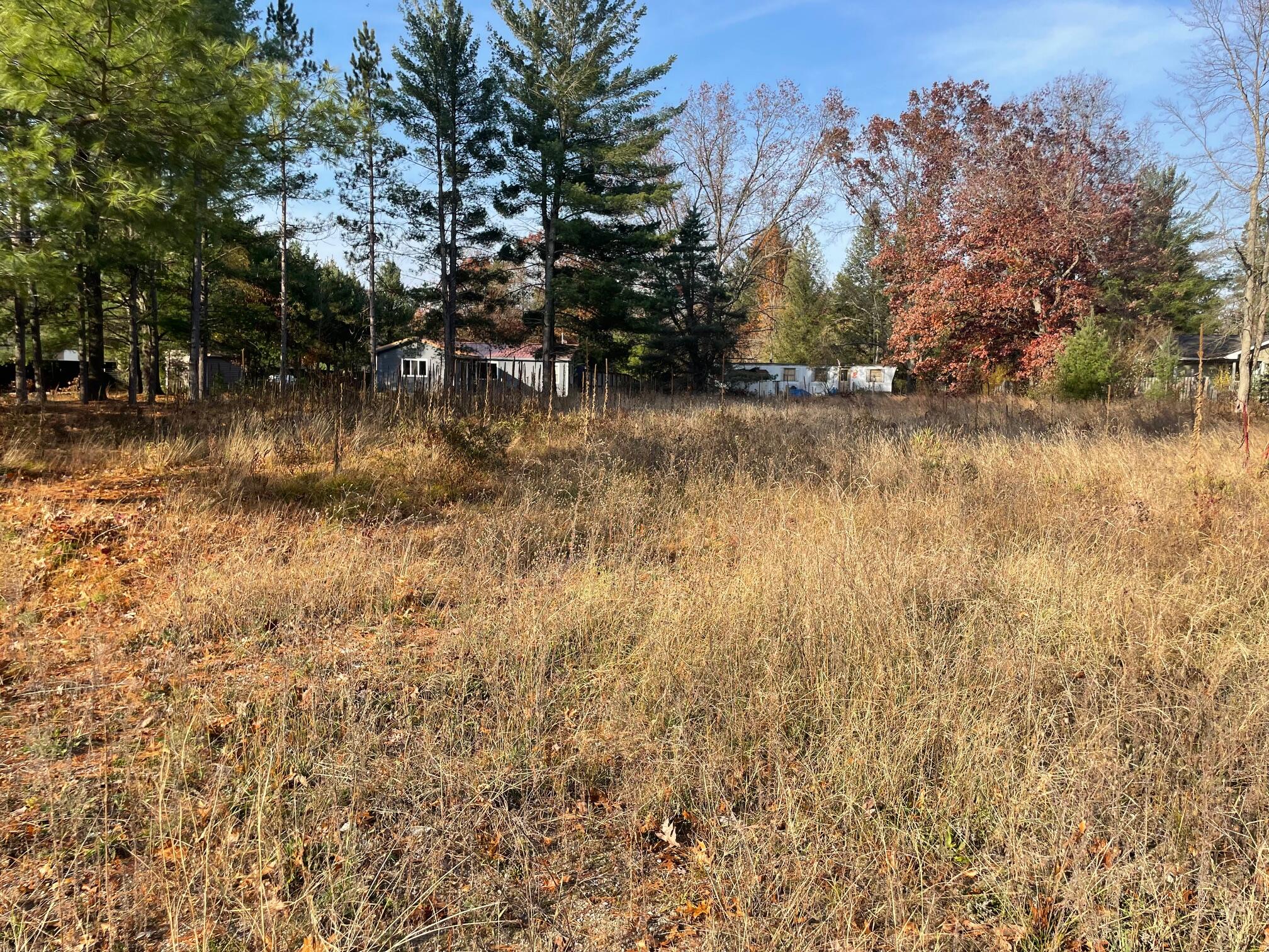 V/l Spring Street Wellston, MI 49689 - Photo 4 of 10 IMG_5850