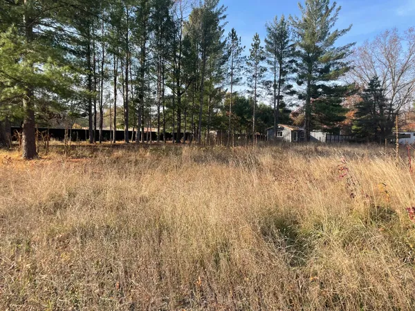 $19,900 | V/l Spring Street, Wellston, MI 49689