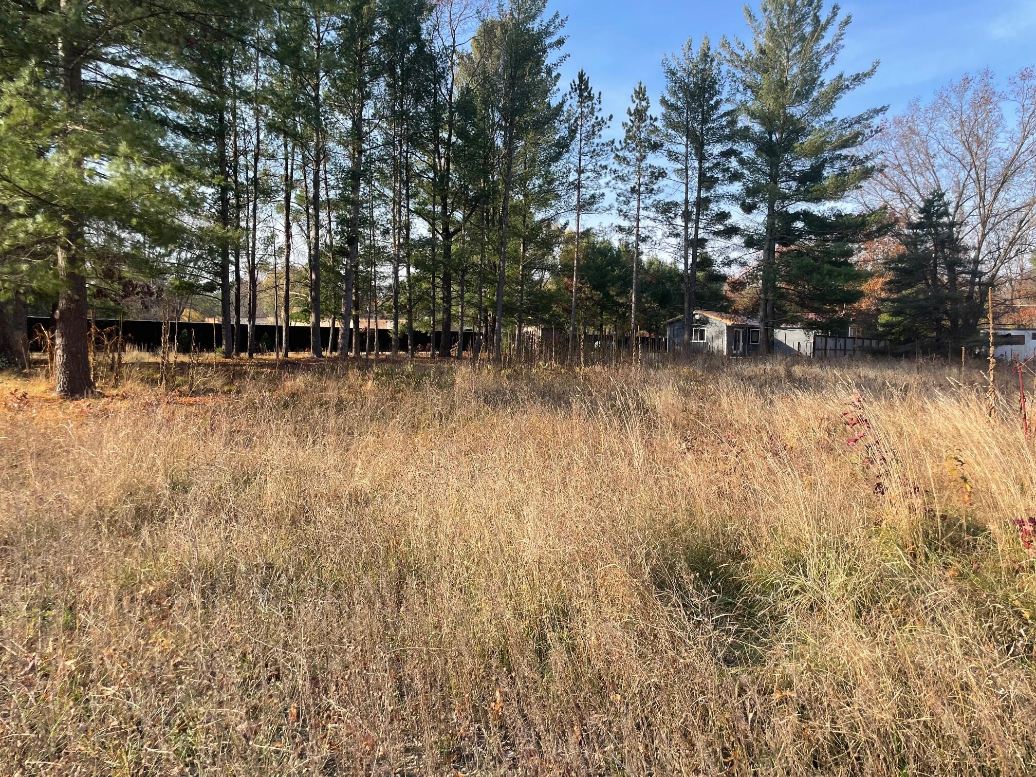 V/l Spring Street Wellston, MI 49689 - Photo 5 of 10 IMG_5857