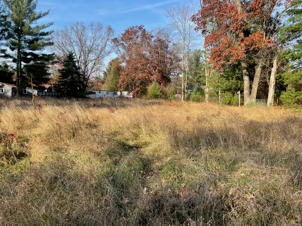 $19,900 | V/l Spring Street, Wellston, MI 49689