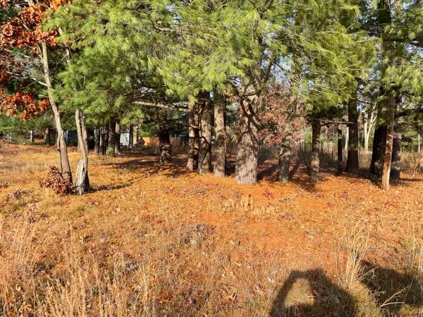 $19,900 | V/l Spring Street, Wellston, MI 49689