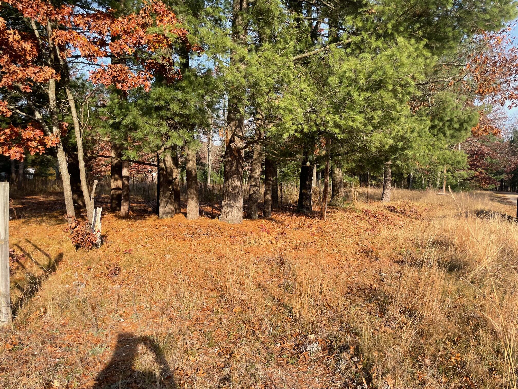 V/l Spring Street Wellston, MI 49689 - Photo 10 of 10 IMG_5863