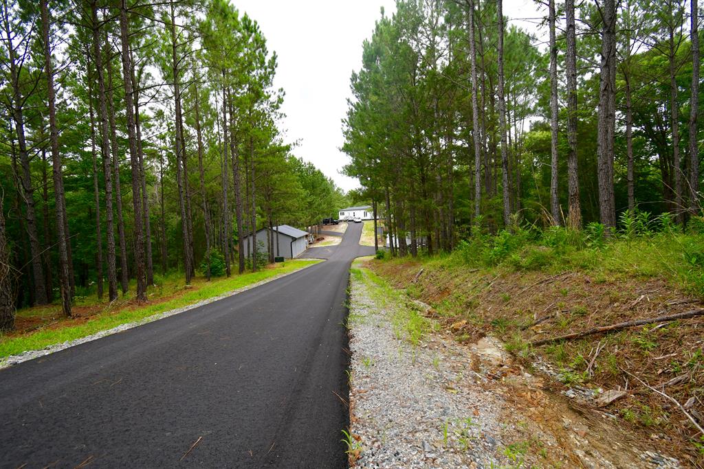 1858 Ridge Road Hodges, SC 29653 - Photo 4 of 22 Gallery Image 4