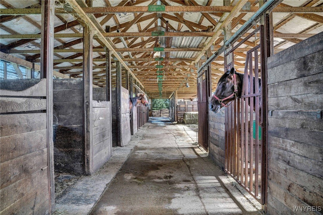 8079 County Road 3 Centerville, NY 14065 - Photo 33 of 50