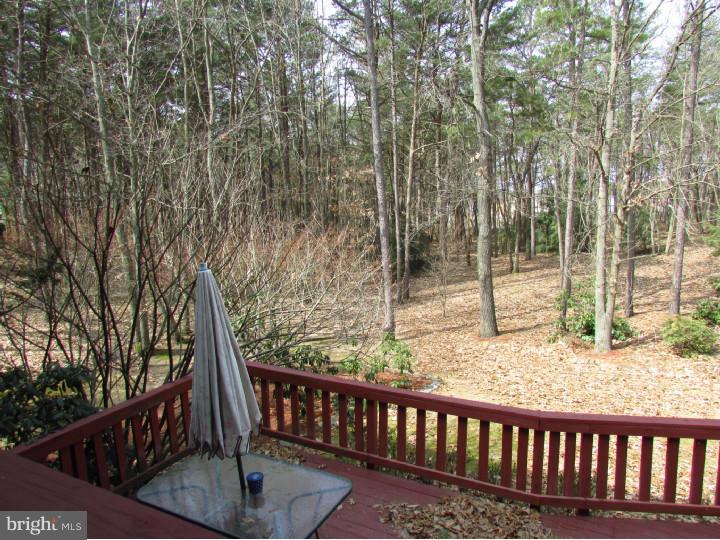 29 Winfield Road Sicklerville, NJ 08081 - Photo 20 of 25 Back Yard