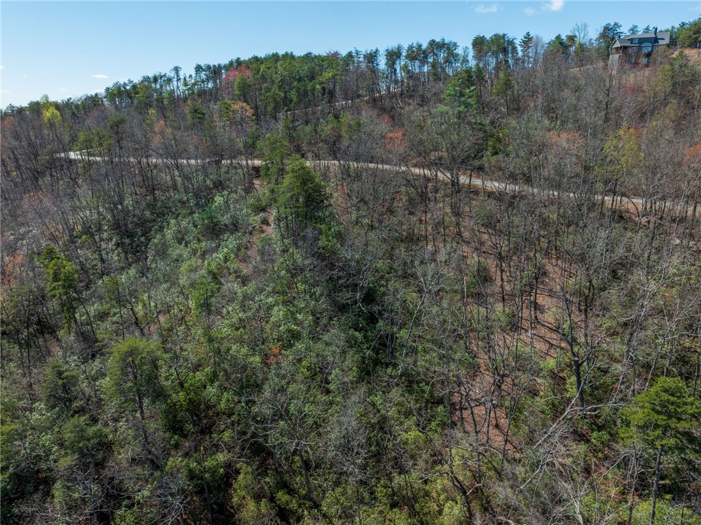 N30-n31 Jocassee Ridge Way Salem, SC 29676 - Photo 12 of 15