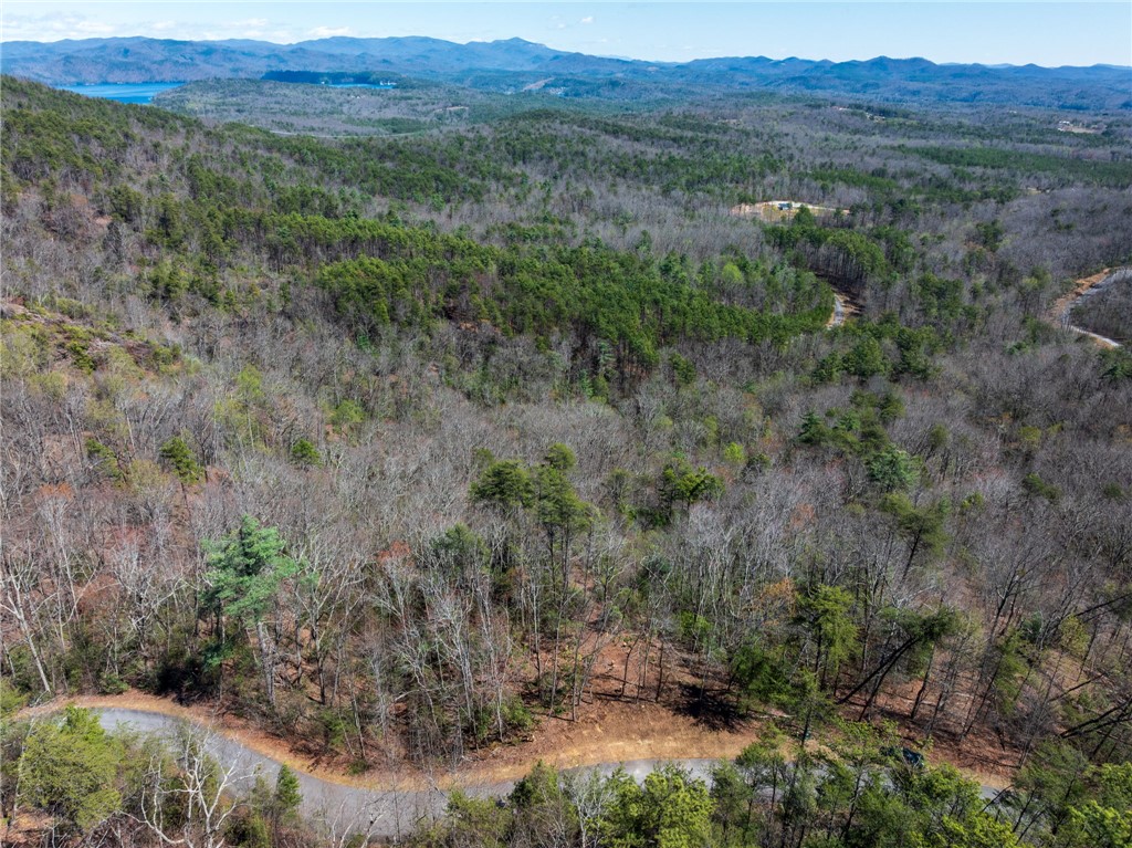 N30-n31 Jocassee Ridge Way Salem, SC 29676 - Photo 5 of 15