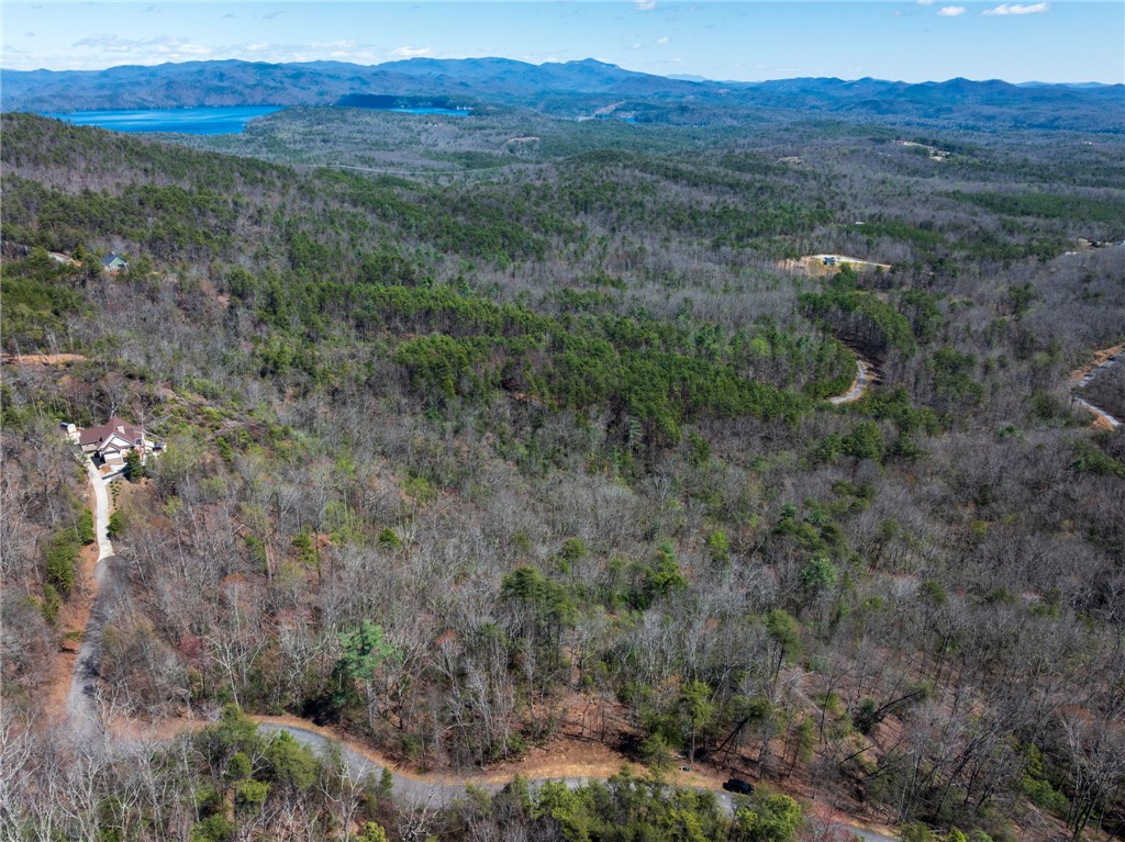 N30-n31 Jocassee Ridge Way Salem, SC 29676 - Photo 6 of 15