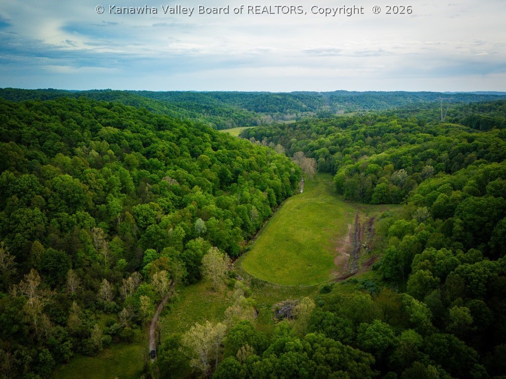 101 Horner Run Road Sandyville, WV 25275 - Photo 39 of 46 Gallery Image 39