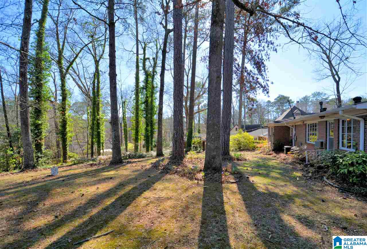 707 Warwick Road Birmingham, AL 35209 - Photo 28 of 30
