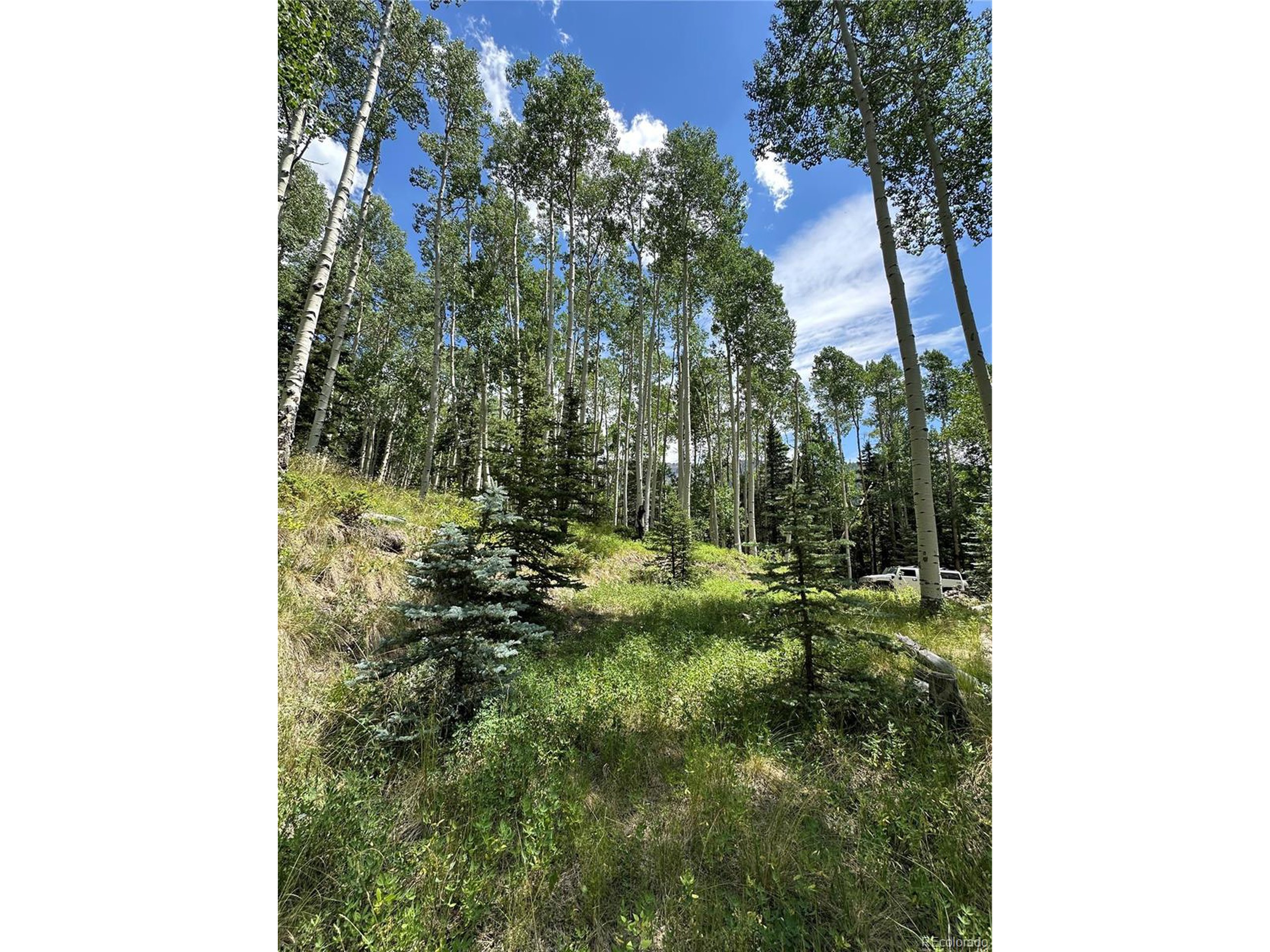 7 Calkins Street Del Norte, CO 81132 - Photo 3 of 8 a backyard of a house