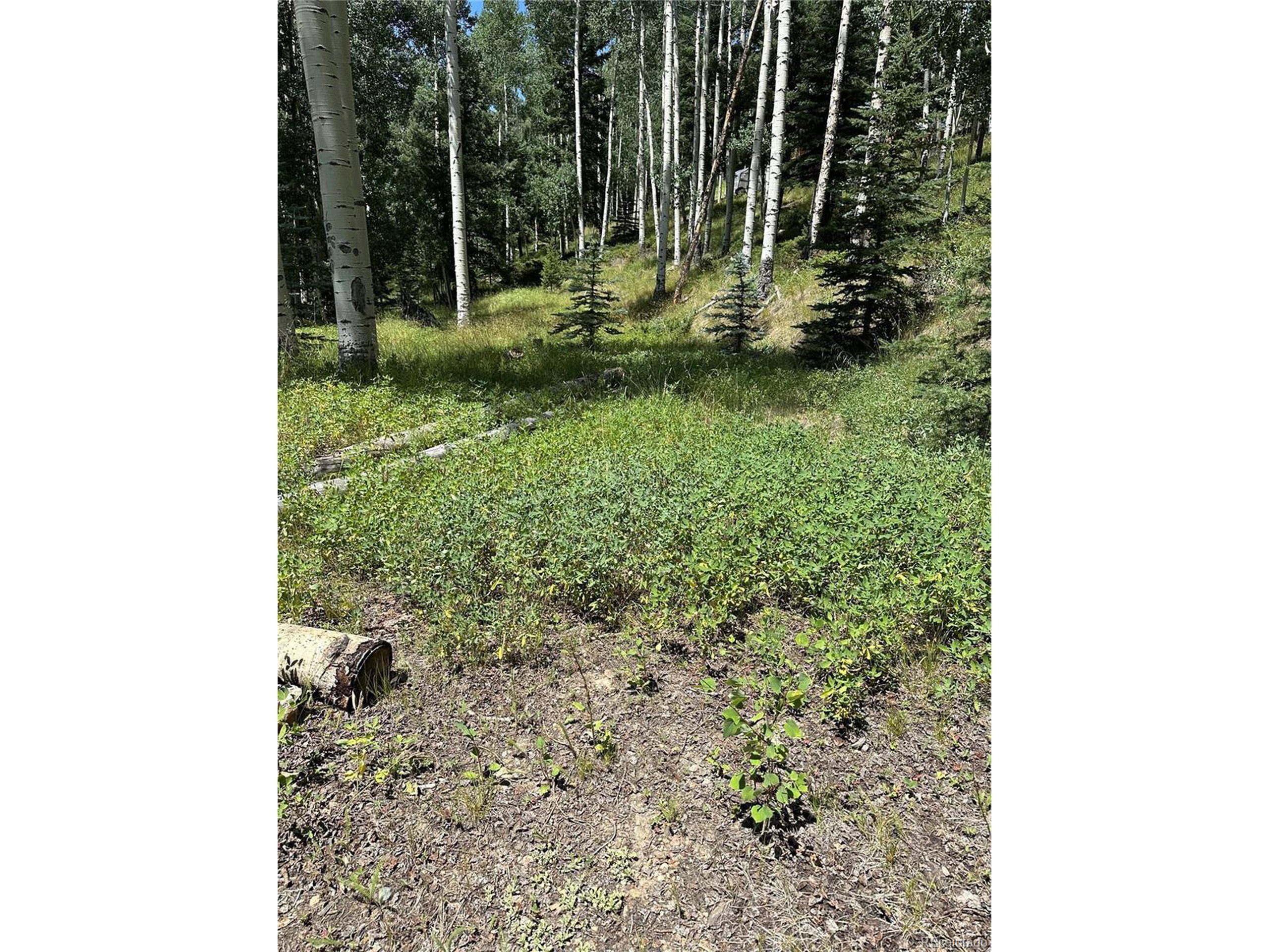7 Calkins Street Del Norte, CO 81132 - Photo 4 of 8 a view of a backyard