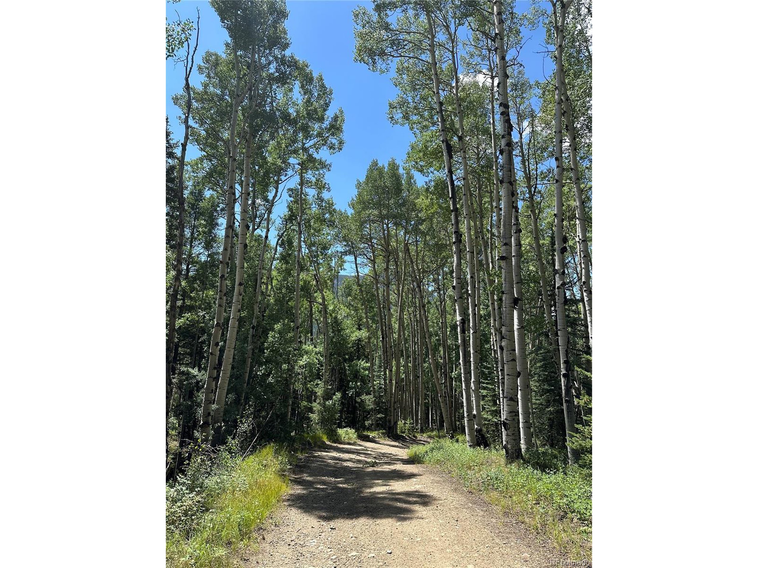 7 Calkins Street Del Norte, CO 81132 - Photo 5 of 8 a view of outdoor space and yard