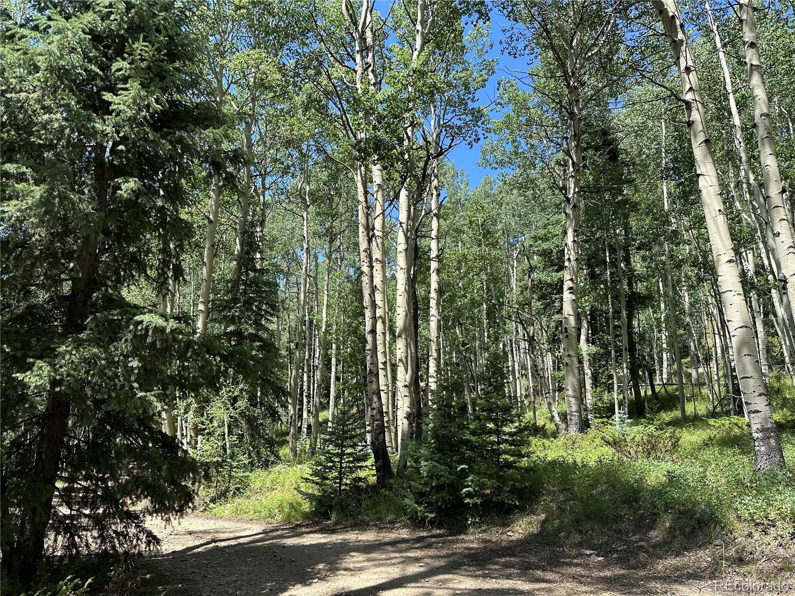 7 Calkins Street Del Norte, CO 81132 - Photo 6 of 8 a view of outdoor space and yard