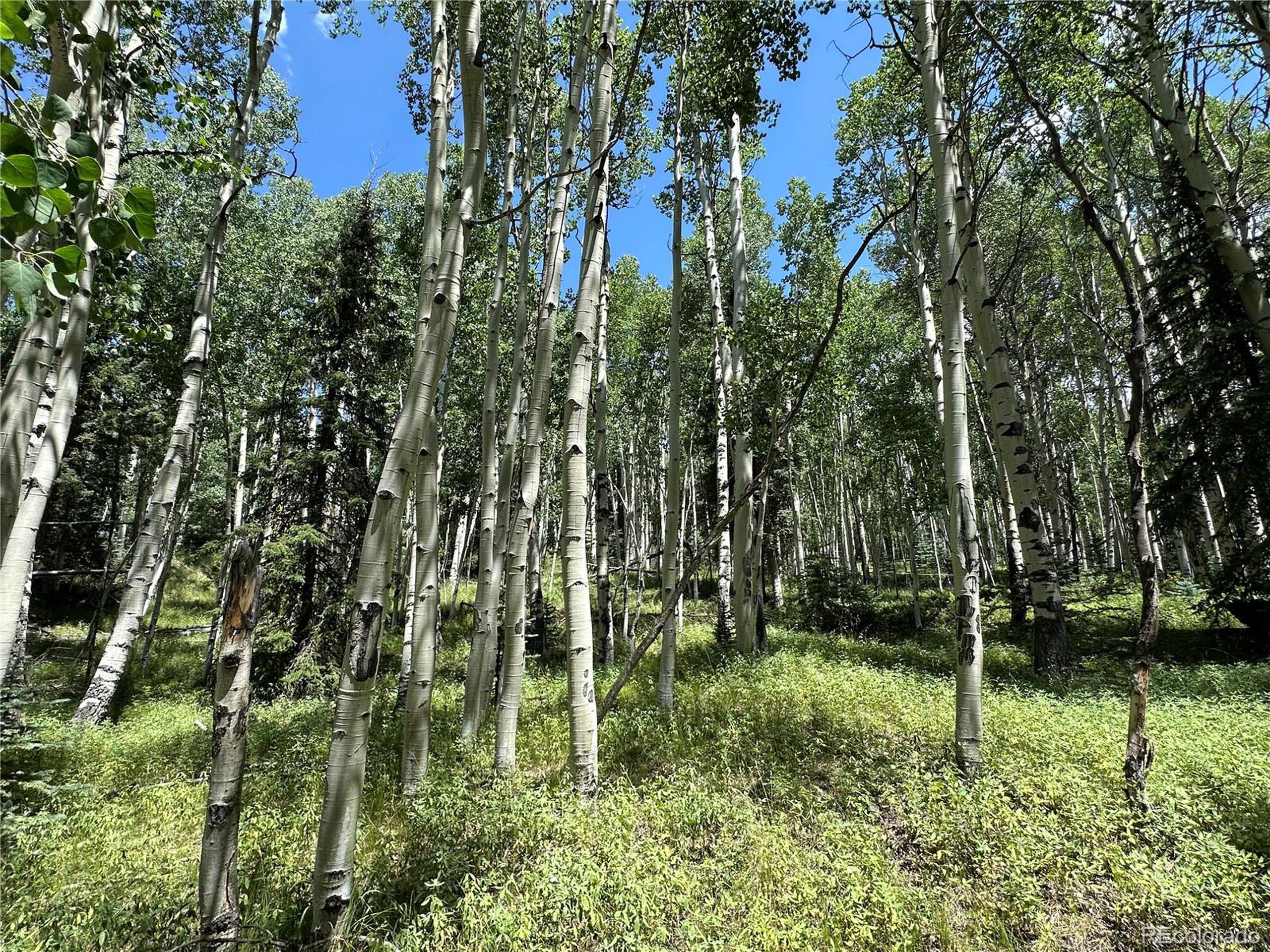 7 Calkins Street Del Norte, CO 81132 - Photo 7 of 8 a view of outdoor space and yard