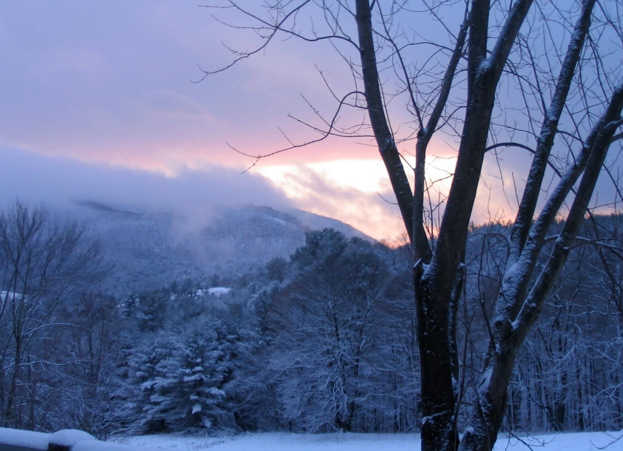 289 Lamb Hill Road Wells, VT 05774 - Photo 28 of 44 Gallery Image 28