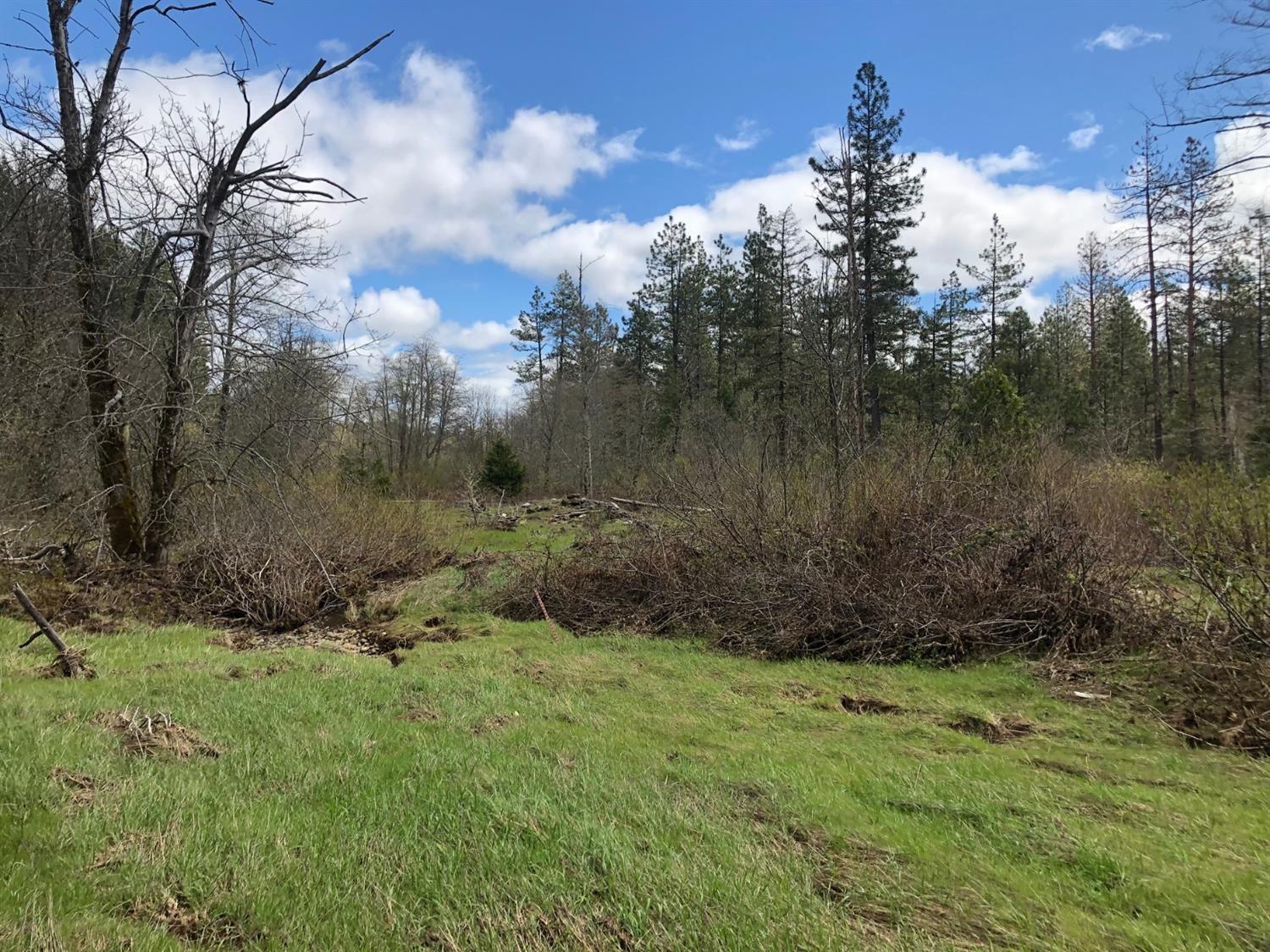 0 Lone Mountain Road, Unit TL602 O'Brien, OR 97534 - Photo 2 of 12 Additional Photo