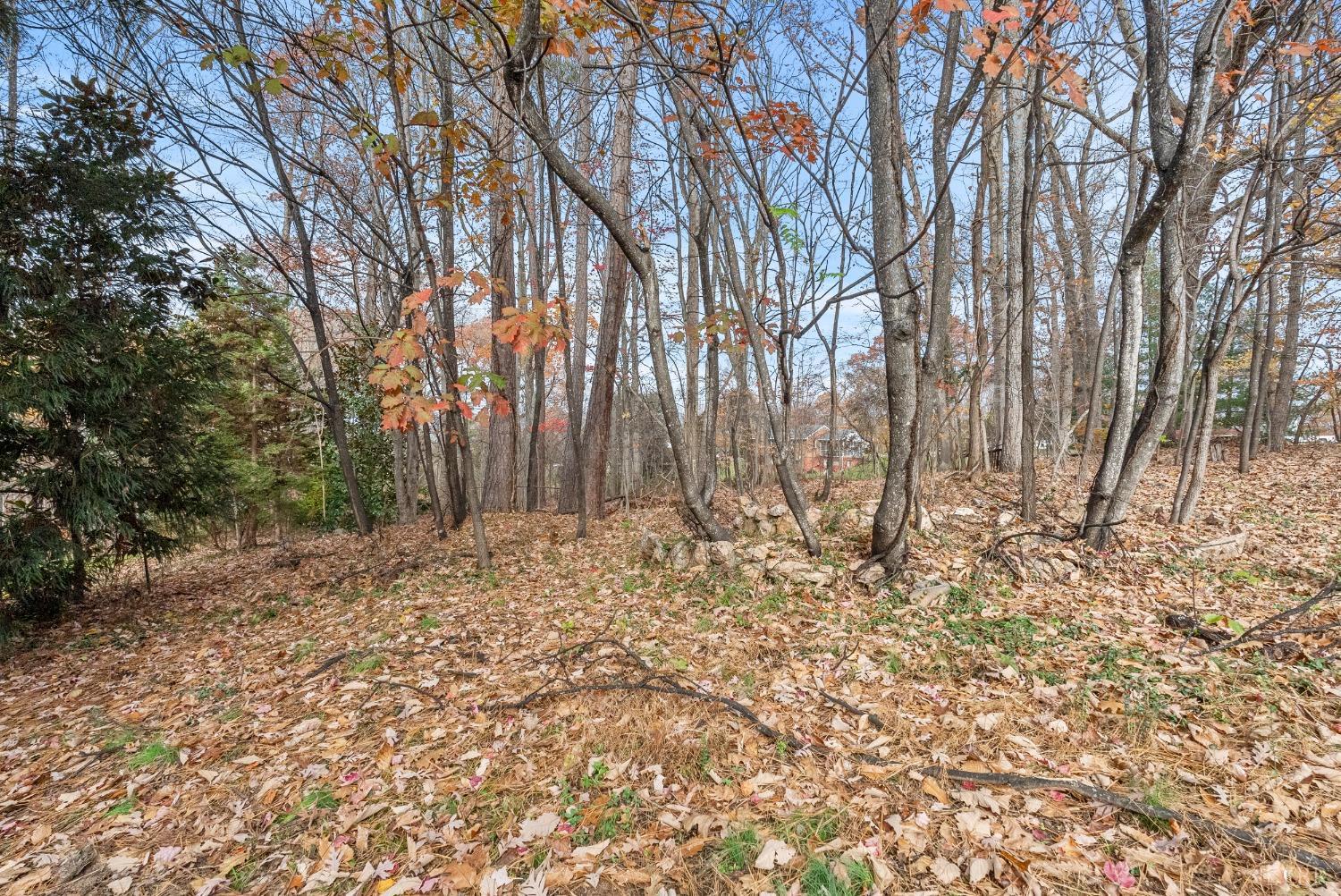 424 Winesap Road Madison Heights, VA 24572 - Photo 35 of 47 Gallery Image 35