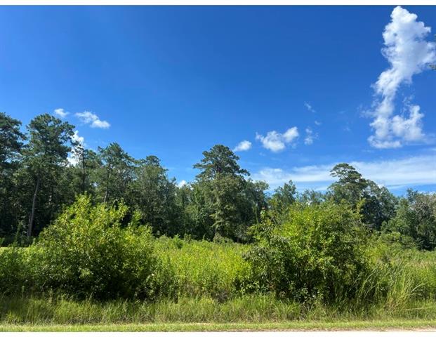 0 Max Mercer Road Pearl River, LA 70452 - Photo 1 of 1 Gallery Image 1
