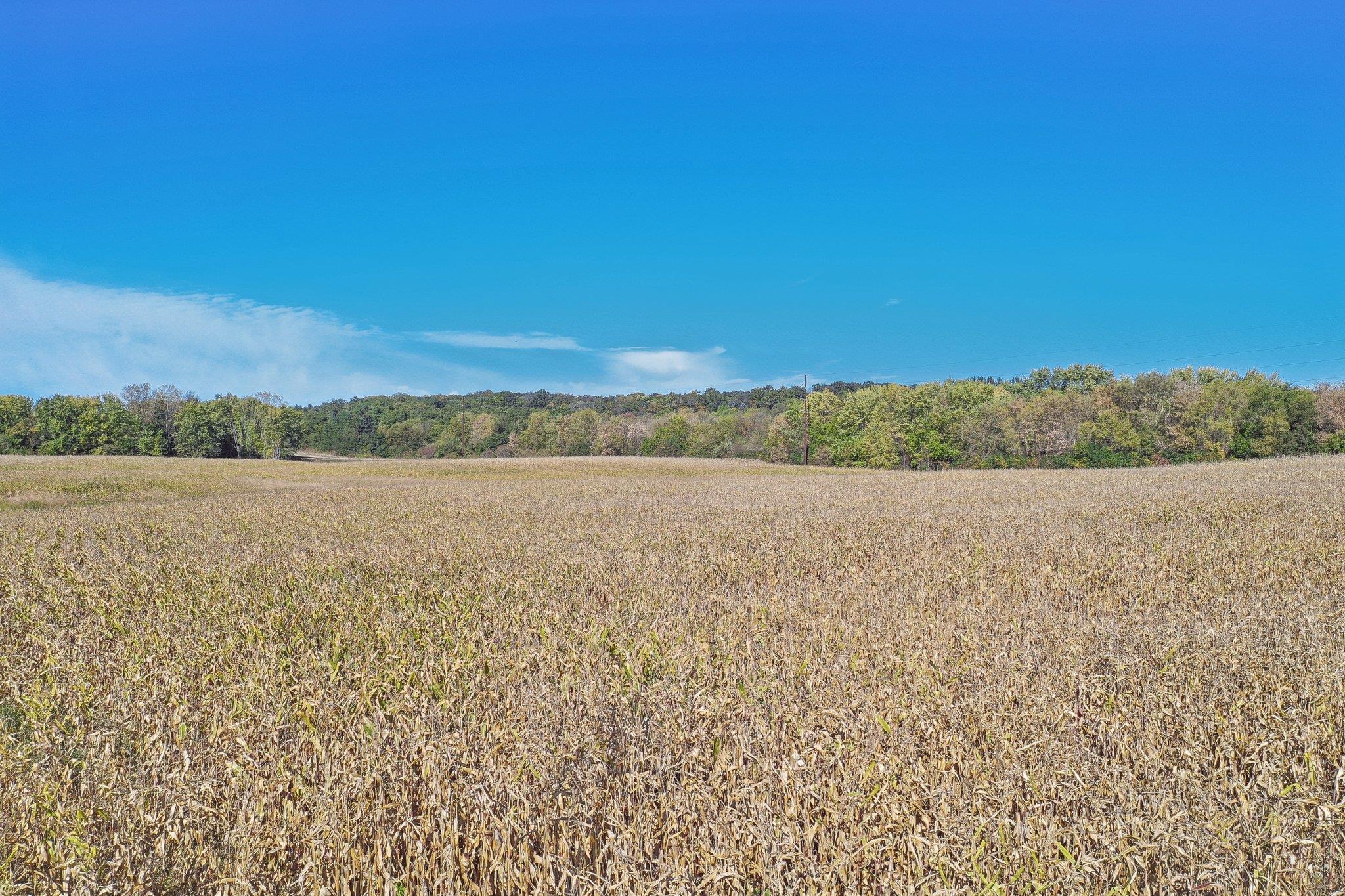 18.26-ac Highway 78 Merrimac, WI 53561 - Photo 12 of 27