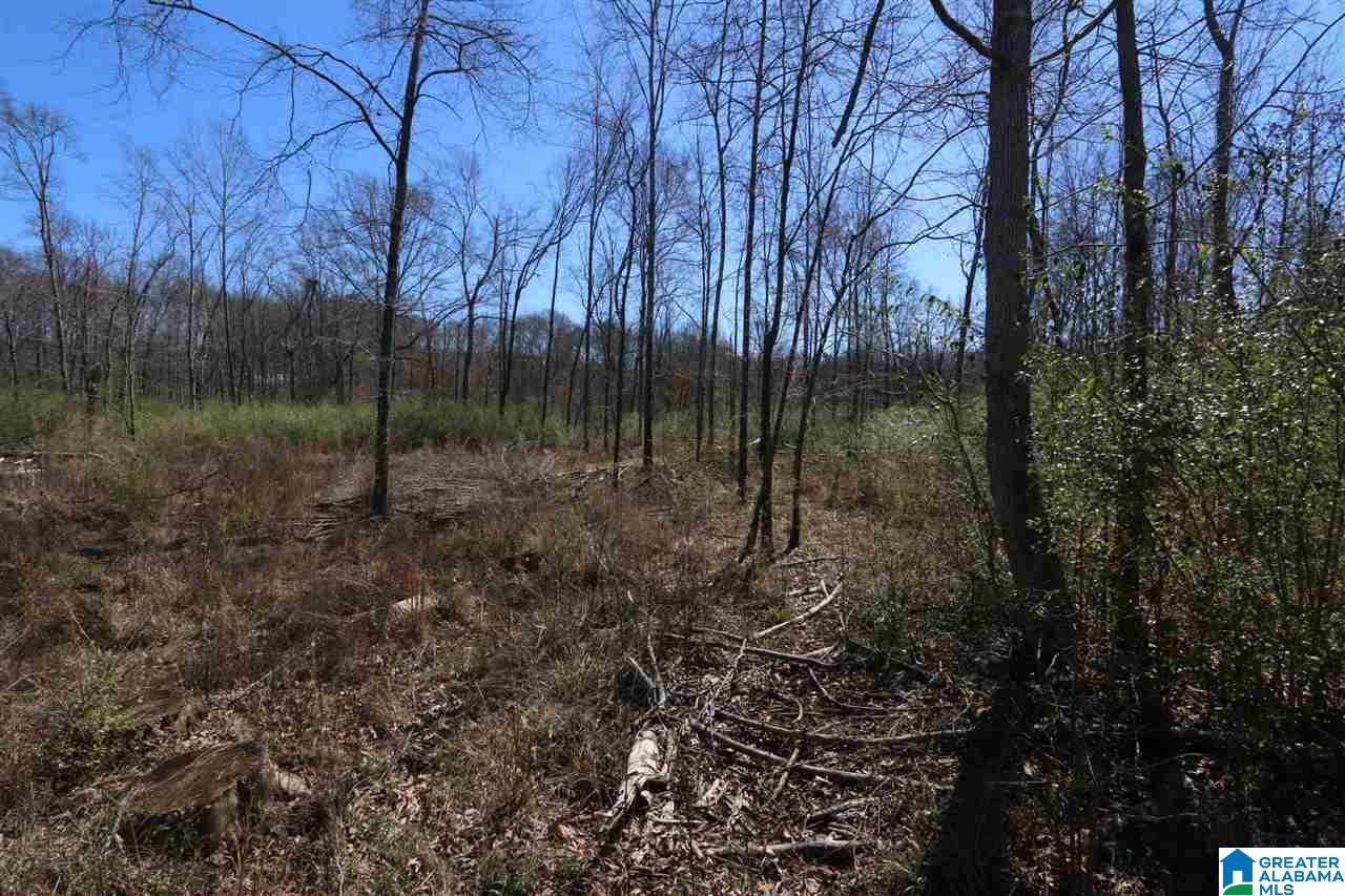 0 Double Bridge Road, Unit 286 Ashville, AL 35953 - Photo 20 of 34