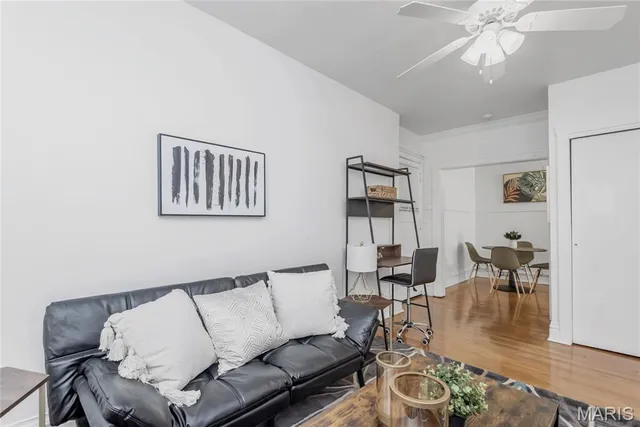 $1,295 | 738 Demun, St. Louis, MO 63105