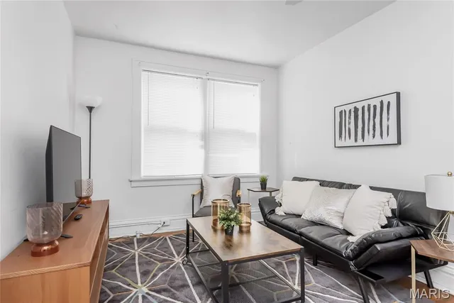 $1,295 | 738 Demun, St. Louis, MO 63105