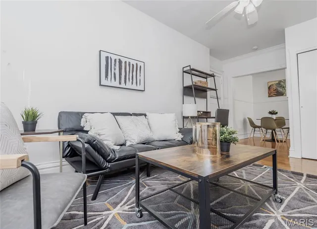 $1,295 | 738 Demun, St. Louis, MO 63105