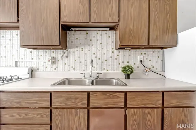 $1,295 | 738 Demun, St. Louis, MO 63105