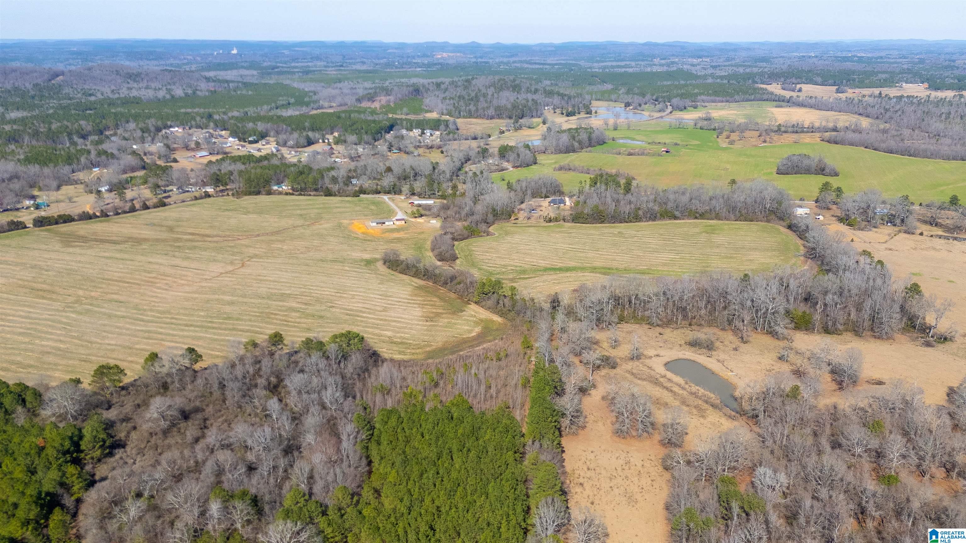 0 Brooks Lake Road, Unit 1 Lincoln, AL 35096 - Photo 6 of 10