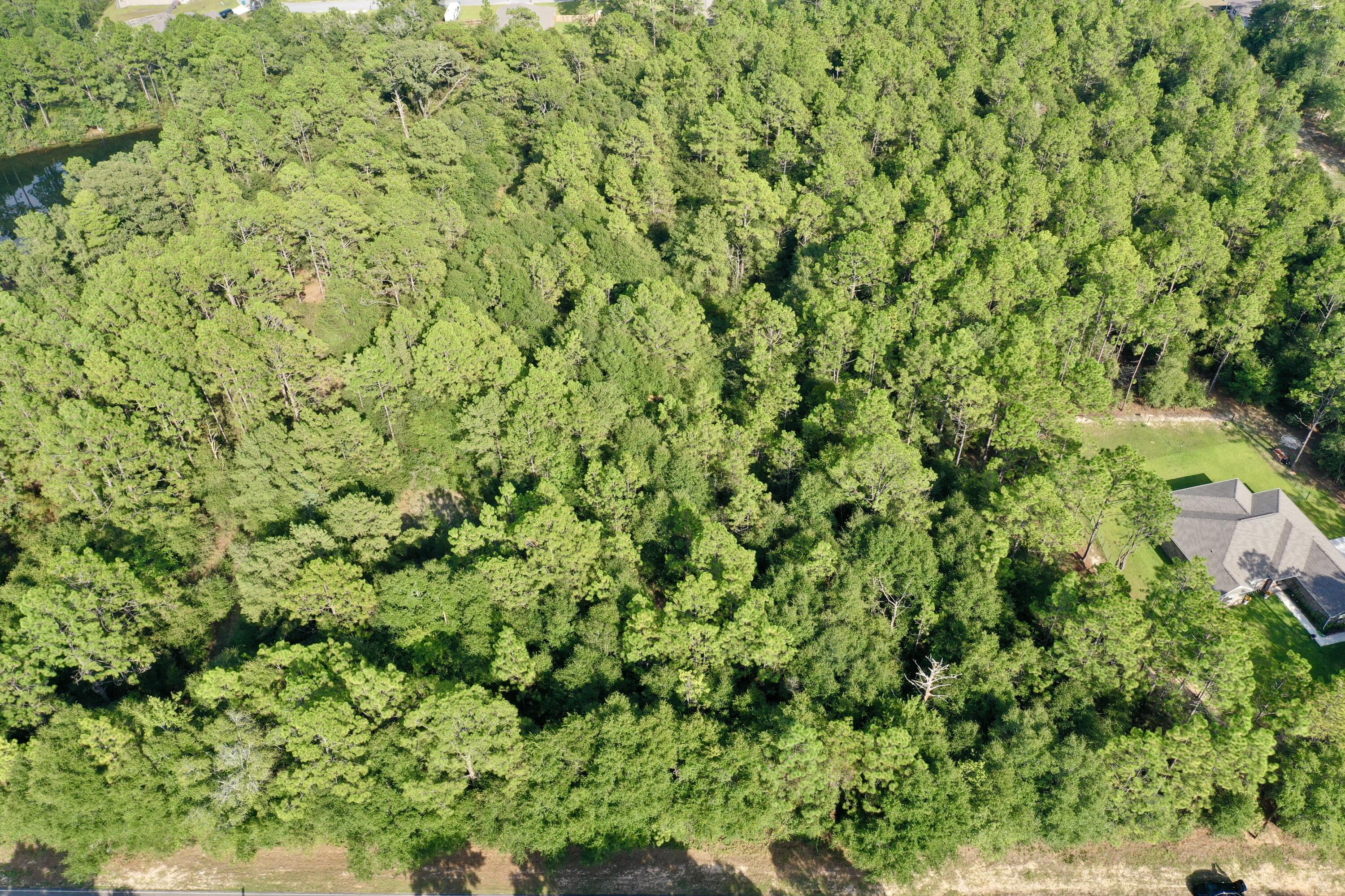 0 Possum Ridge Road Crestview, FL 32539 - Photo 6 of 10 a view of a lush green forest with a tree