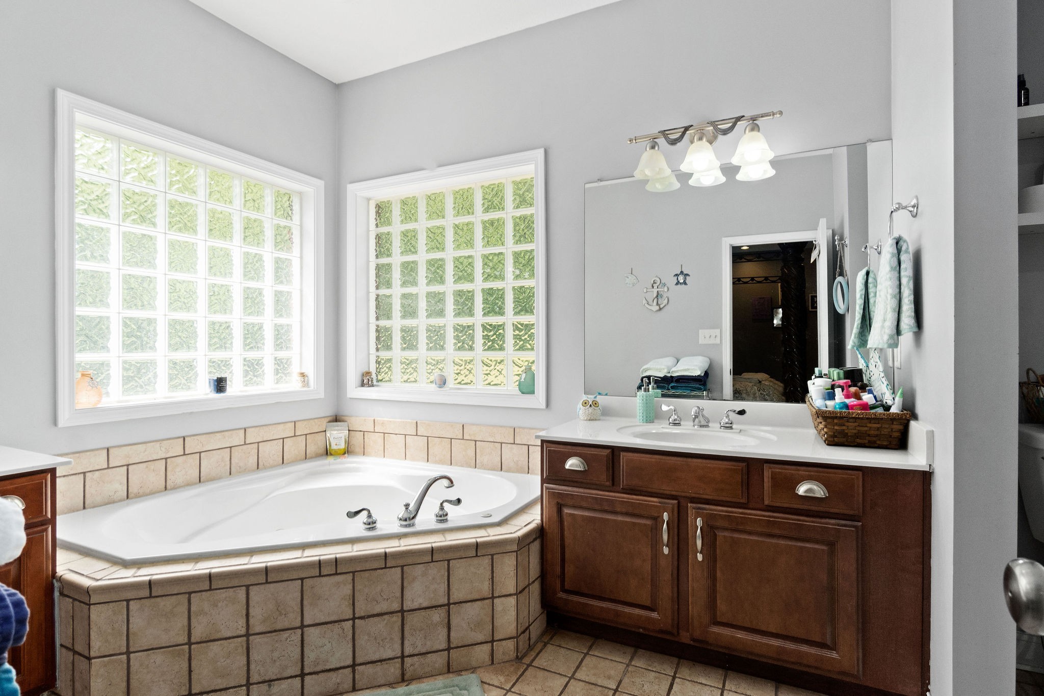 2458 Carroll Road Palmyra, TN 37142 - Photo 20 of 35 a bath tub sitting next to a bathroom sink and a mirror