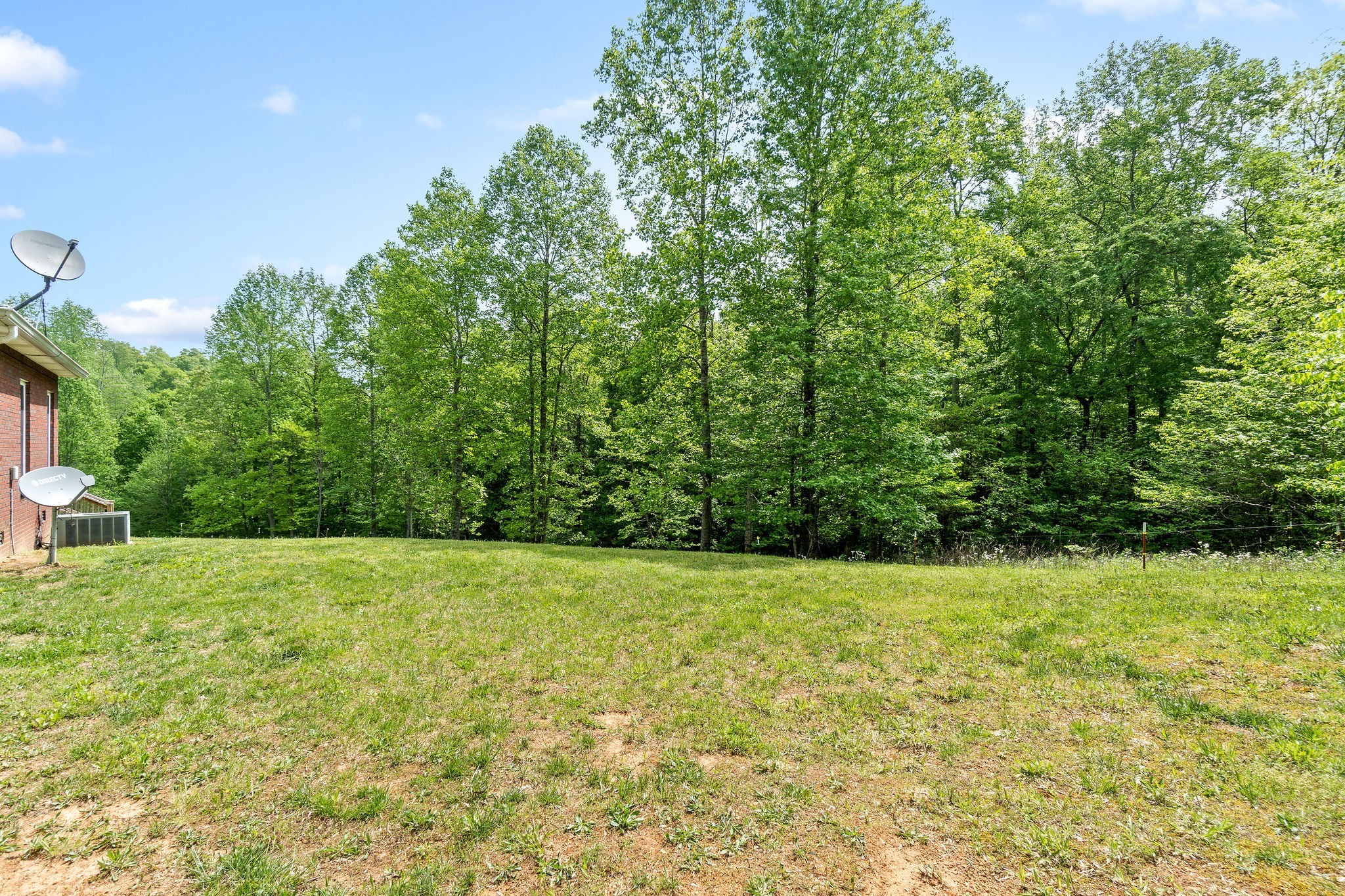 2458 Carroll Road Palmyra, TN 37142 - Photo 31 of 35 a view of a green yard with a small yard