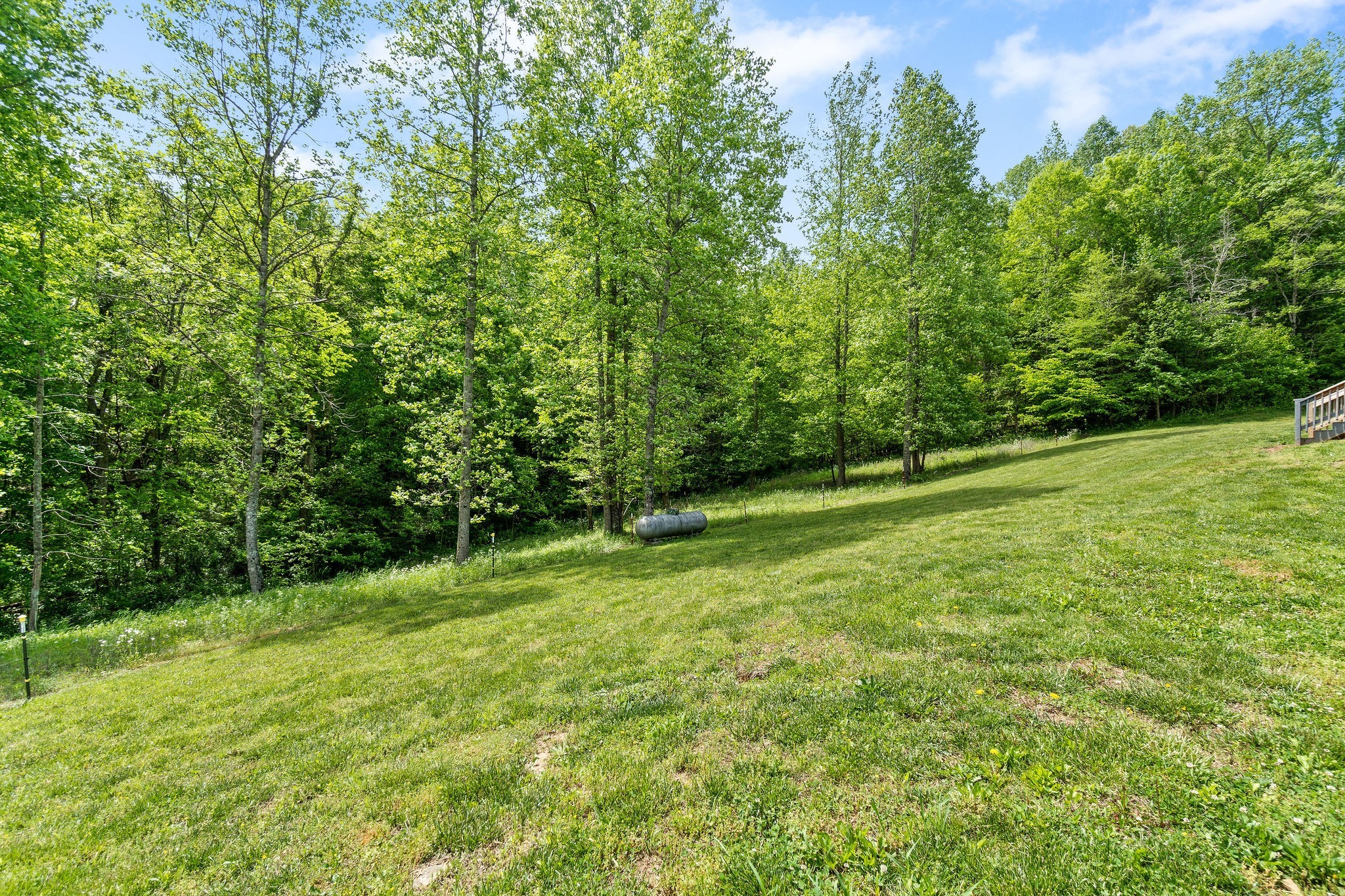 2458 Carroll Road Palmyra, TN 37142 - Photo 32 of 35 a view of field with trees in the background