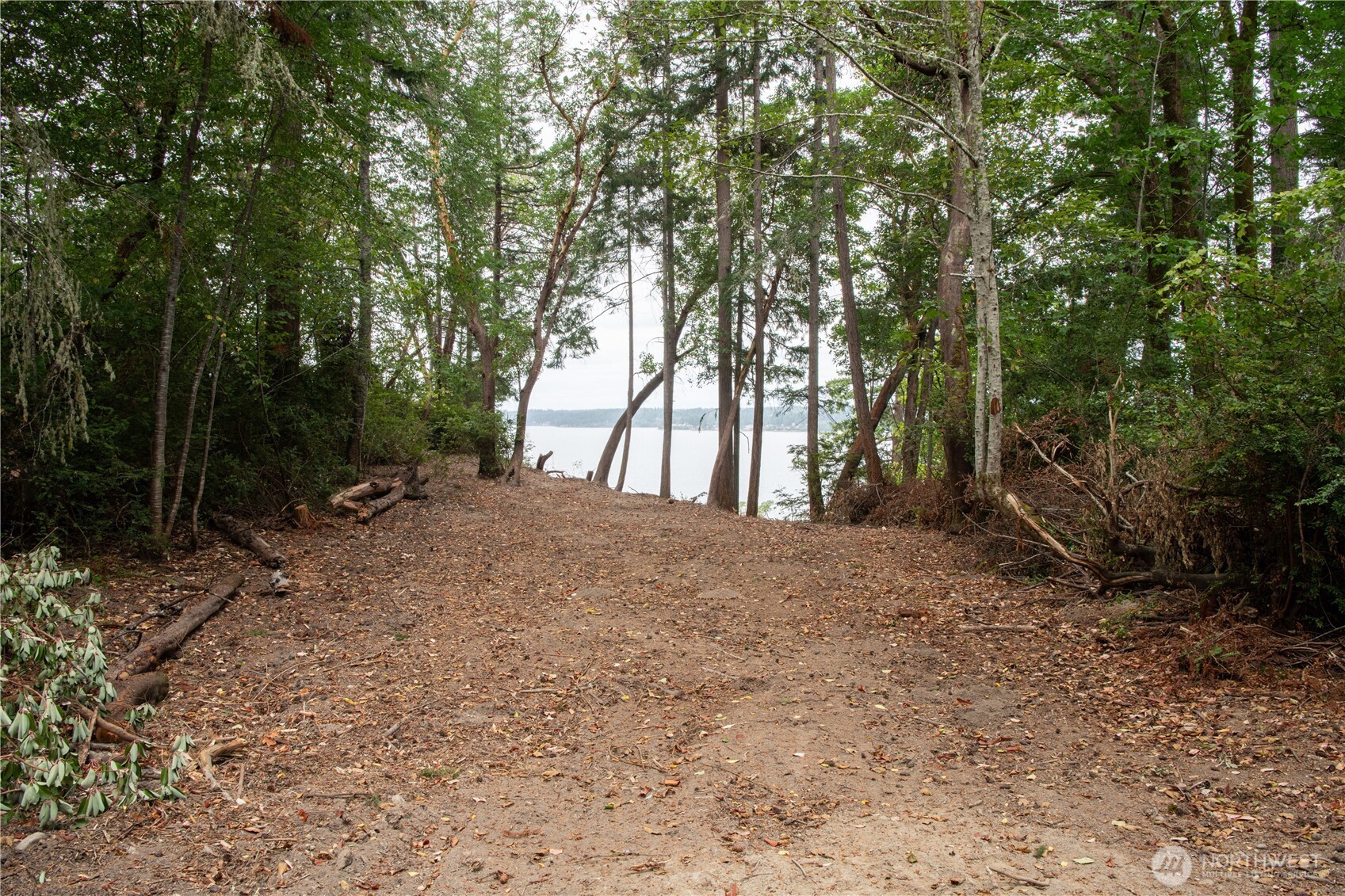 6206 Crescent Beach Road Vaughn, WA 98394 - Photo 12 of 22 a view of backyard and tree