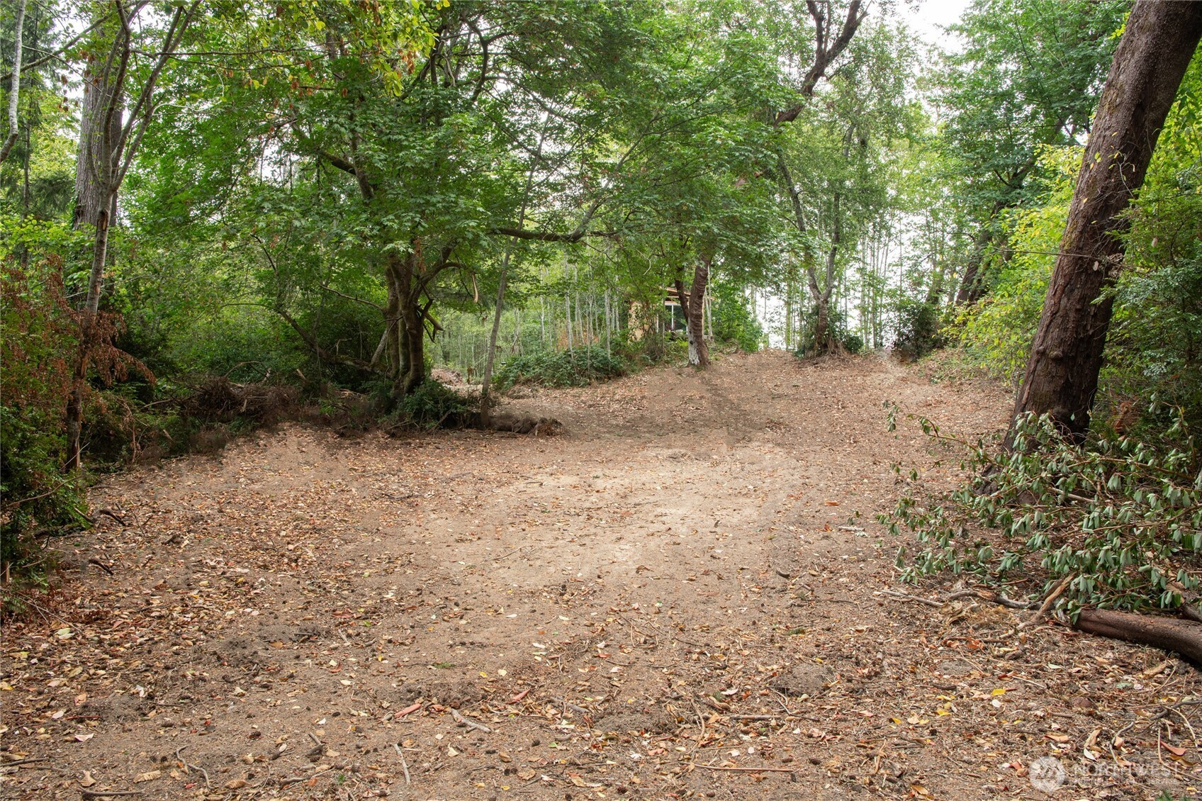 6206 Crescent Beach Road Vaughn, WA 98394 - Photo 17 of 22 a view of a forest with trees in the background