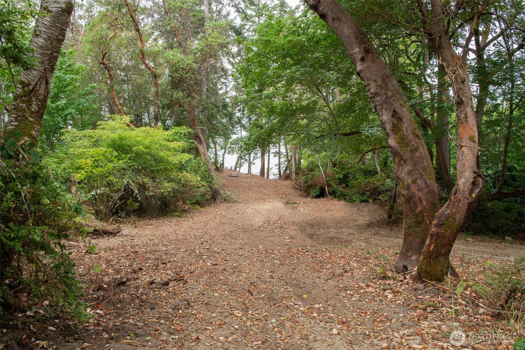 6206 Crescent Beach Road Vaughn, WA 98394 - Photo 18 of 22 a view of backyard with green space