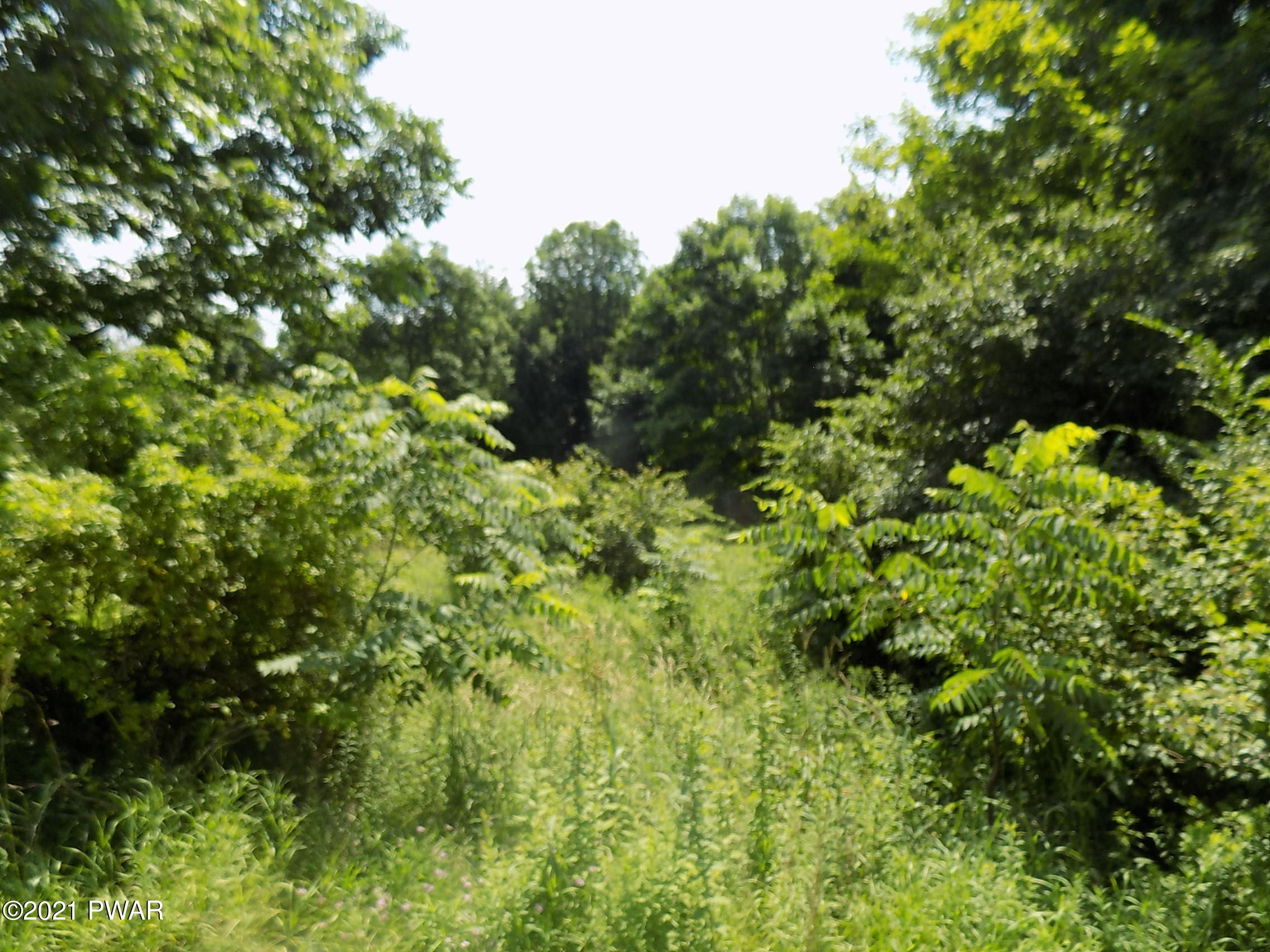 15.32-acre 15.32-acre Road Newfoundland, PA 18445 - Photo 2 of 8