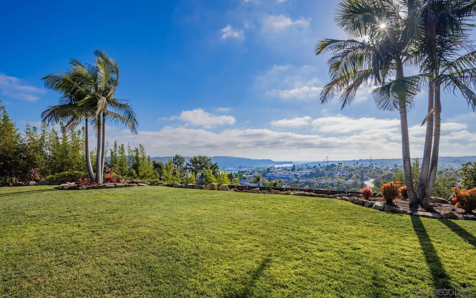2647 Marmol Court Carlsbad, CA 92009 - Photo 35 of 35 a view of a yard with palm trees