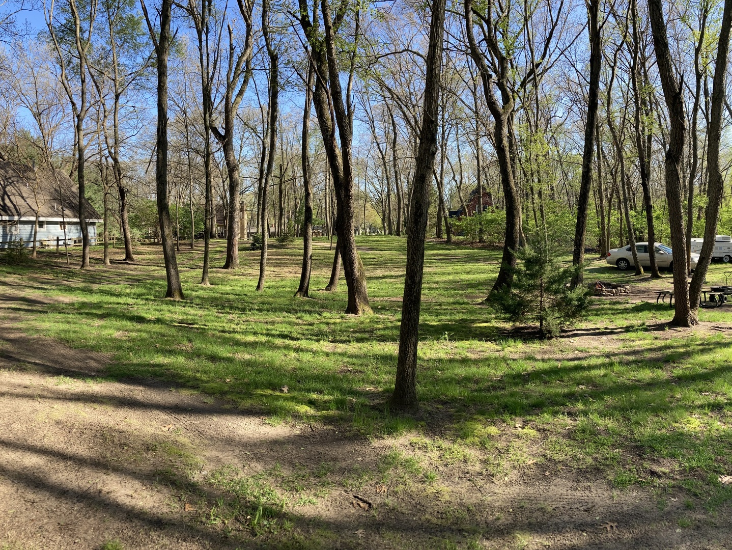 a view of a park with large trees