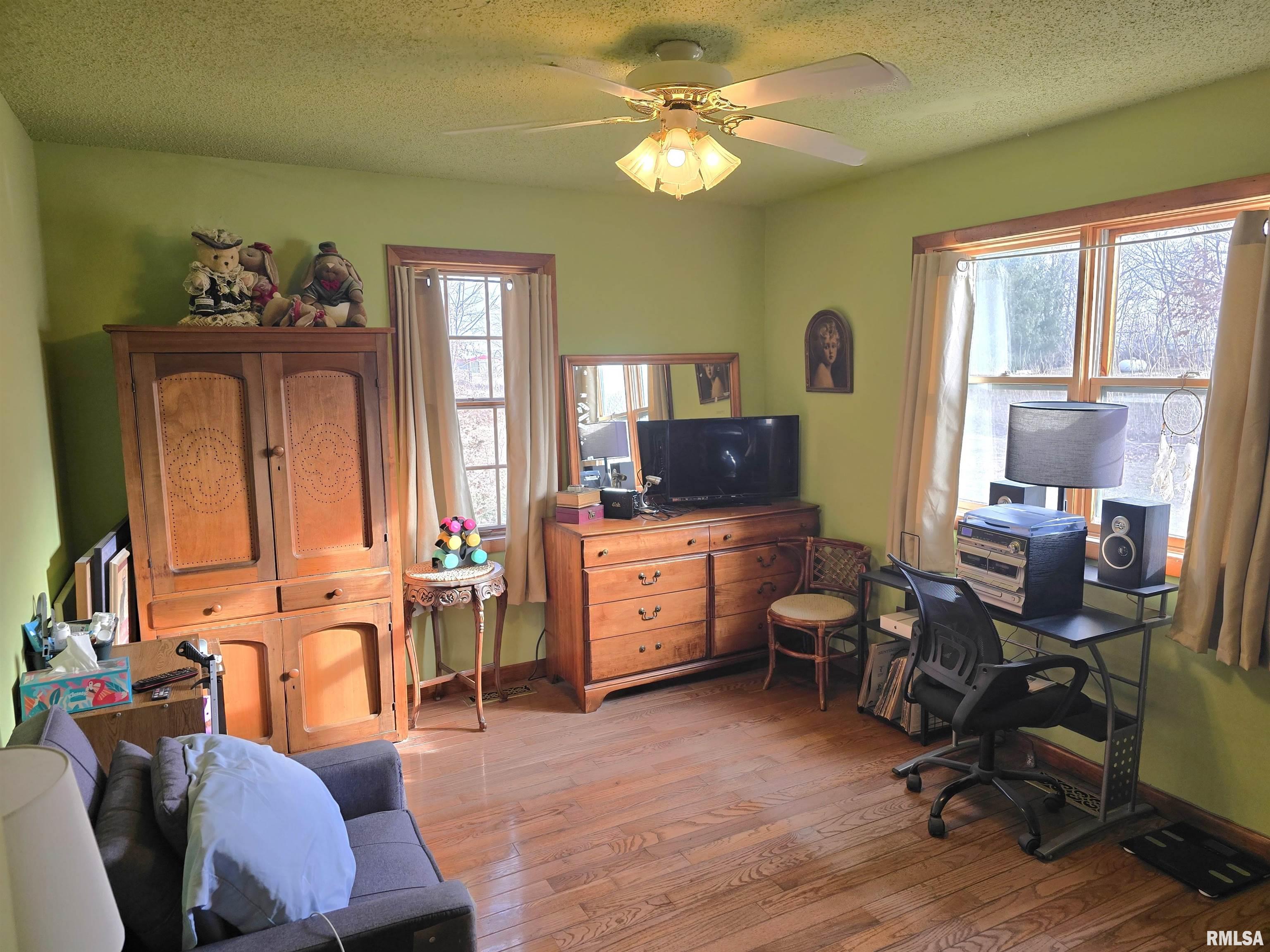 15234 Highway 123 Tallula, IL 62688 - Photo 13 of 30