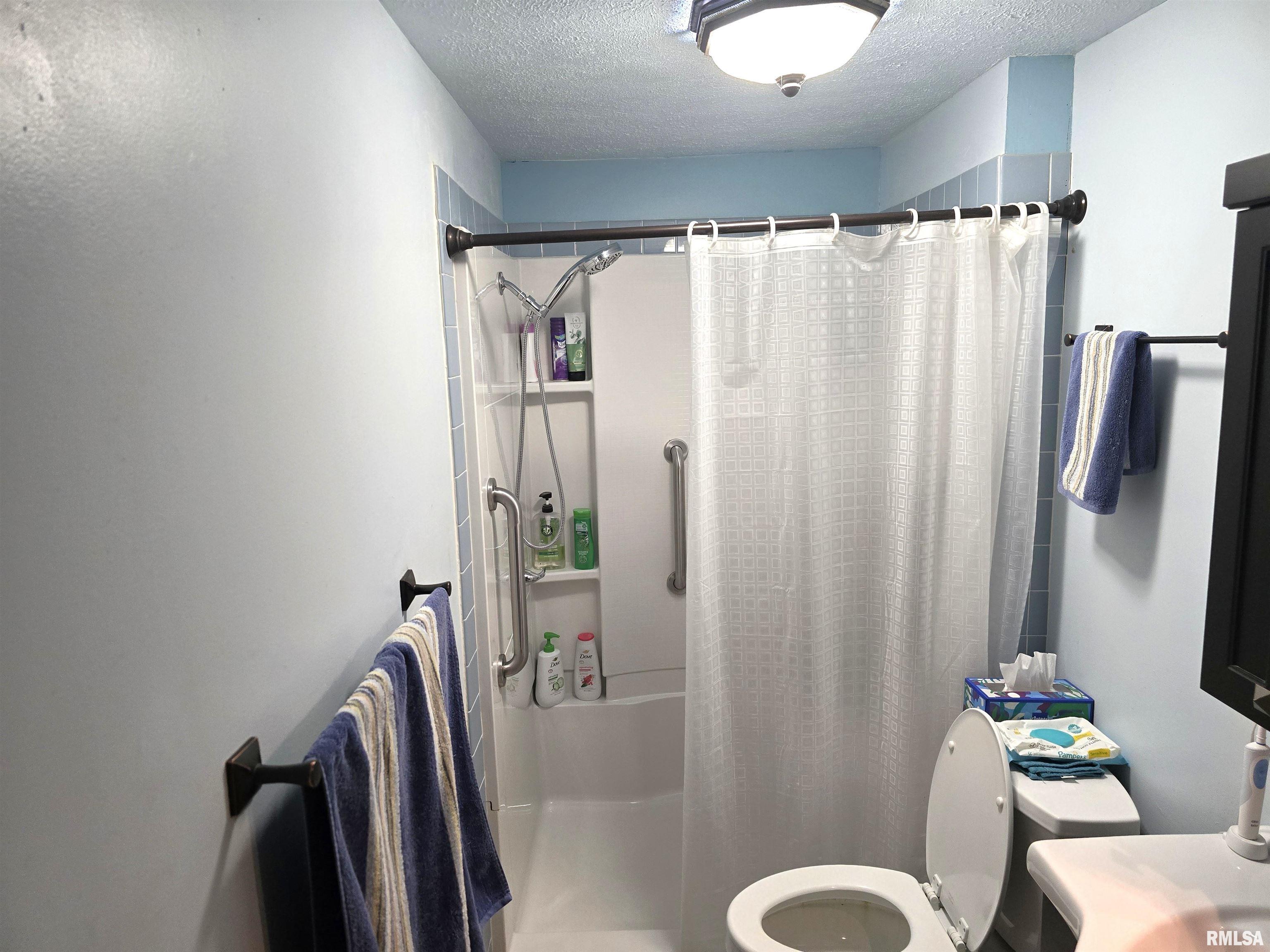 15234 Highway 123 Tallula, IL 62688 - Photo 18 of 30