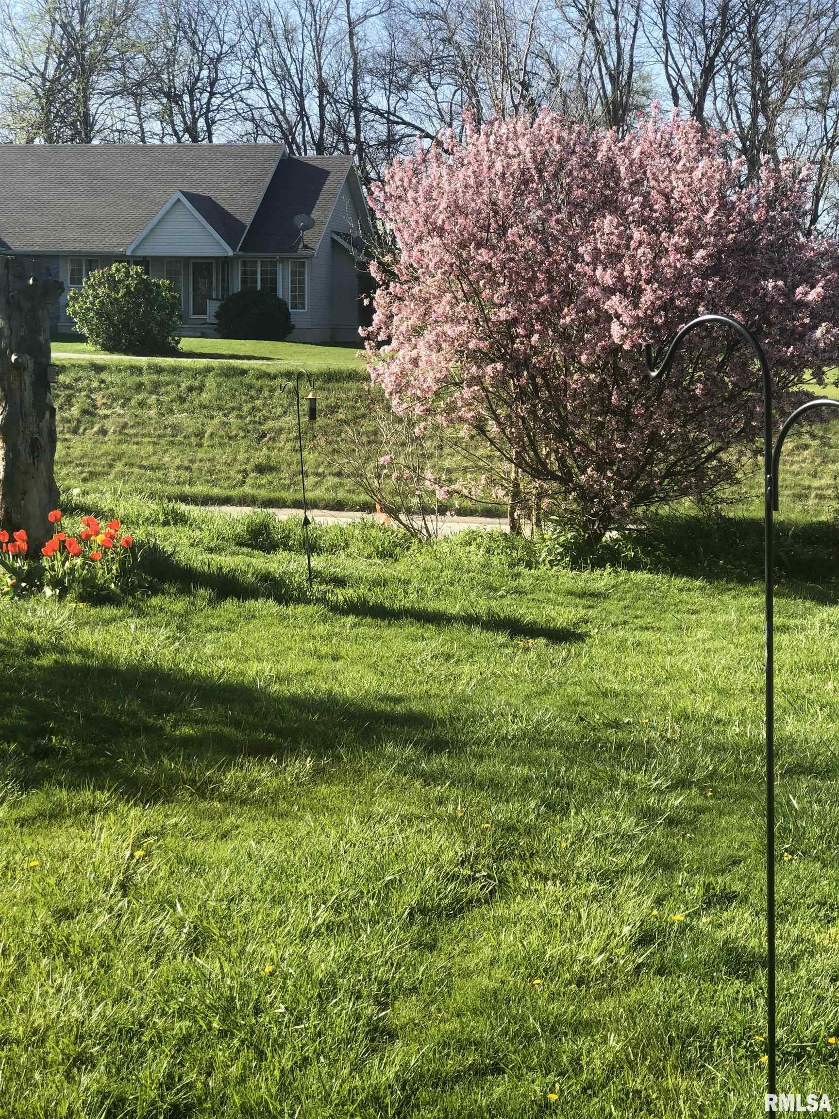 15234 Highway 123 Tallula, IL 62688 - Photo 24 of 30