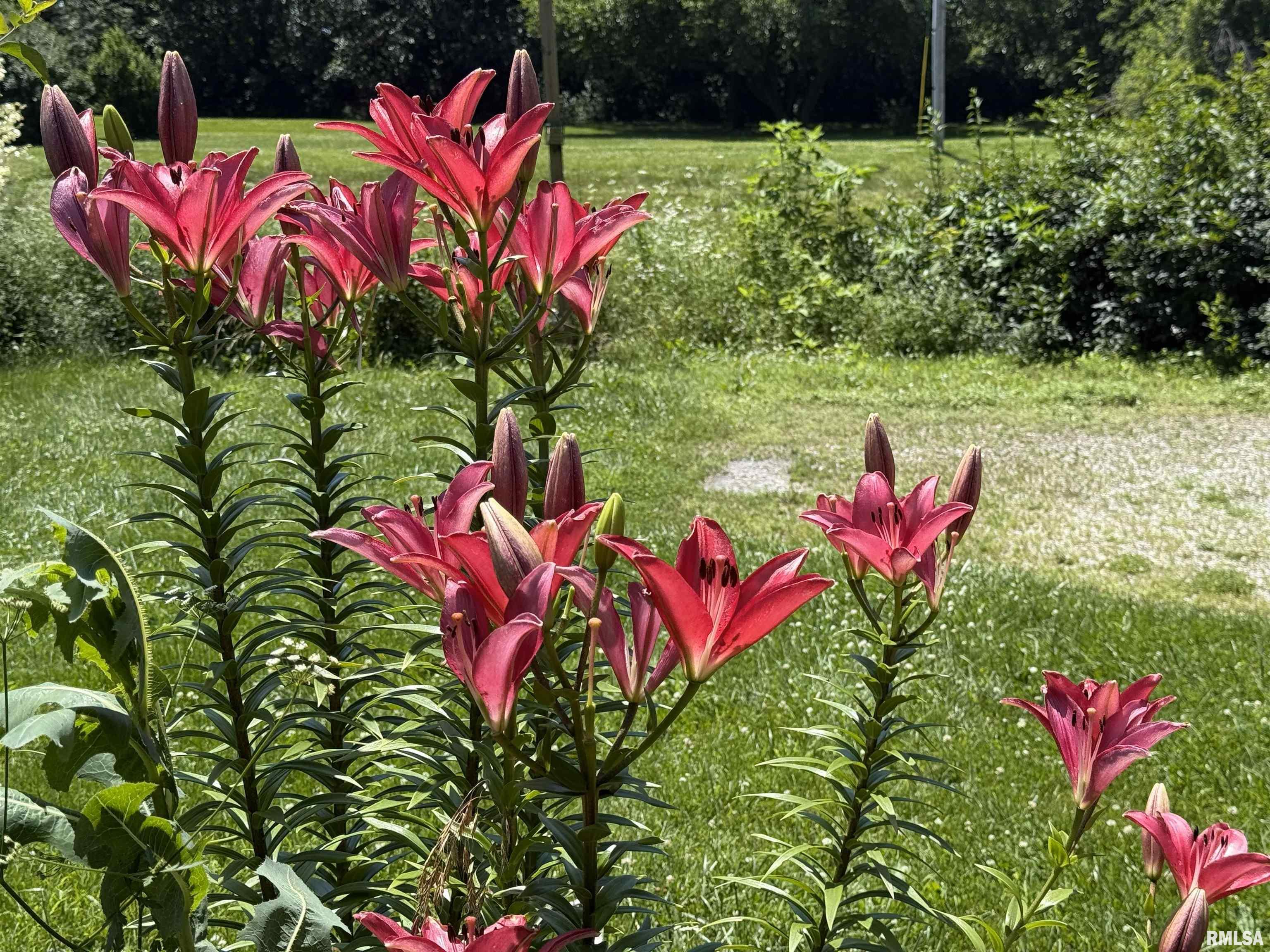 15234 Highway 123 Tallula, IL 62688 - Photo 29 of 30