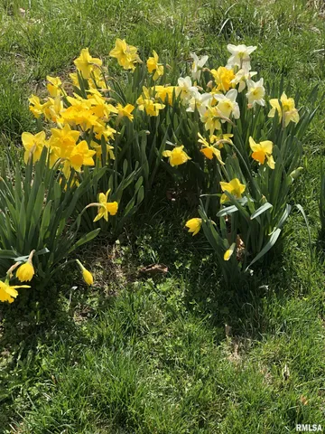 $209,900 | 15234 Highway 123, Tallula, IL 62688