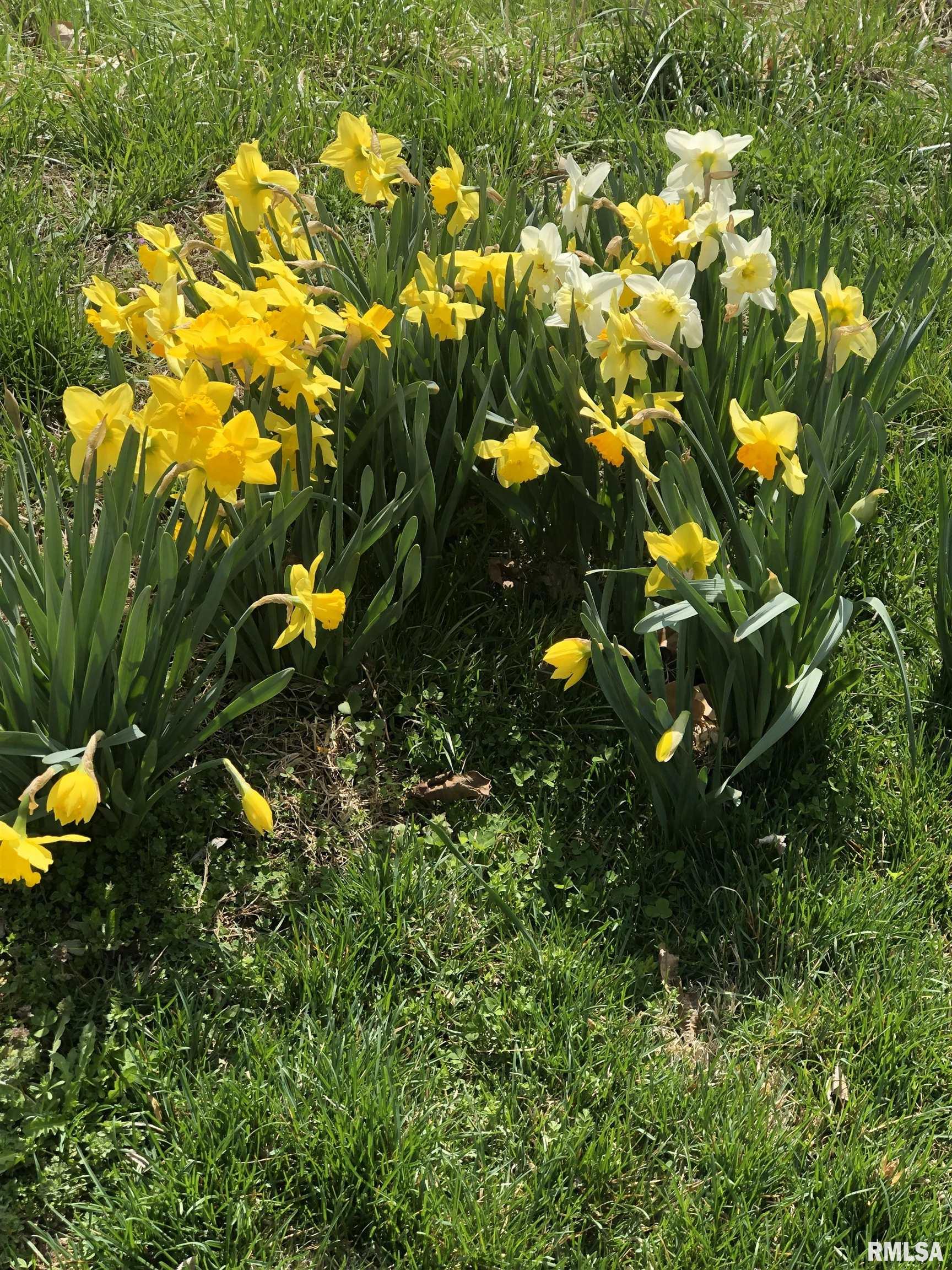 15234 Highway 123 Tallula, IL 62688 - Photo 30 of 30