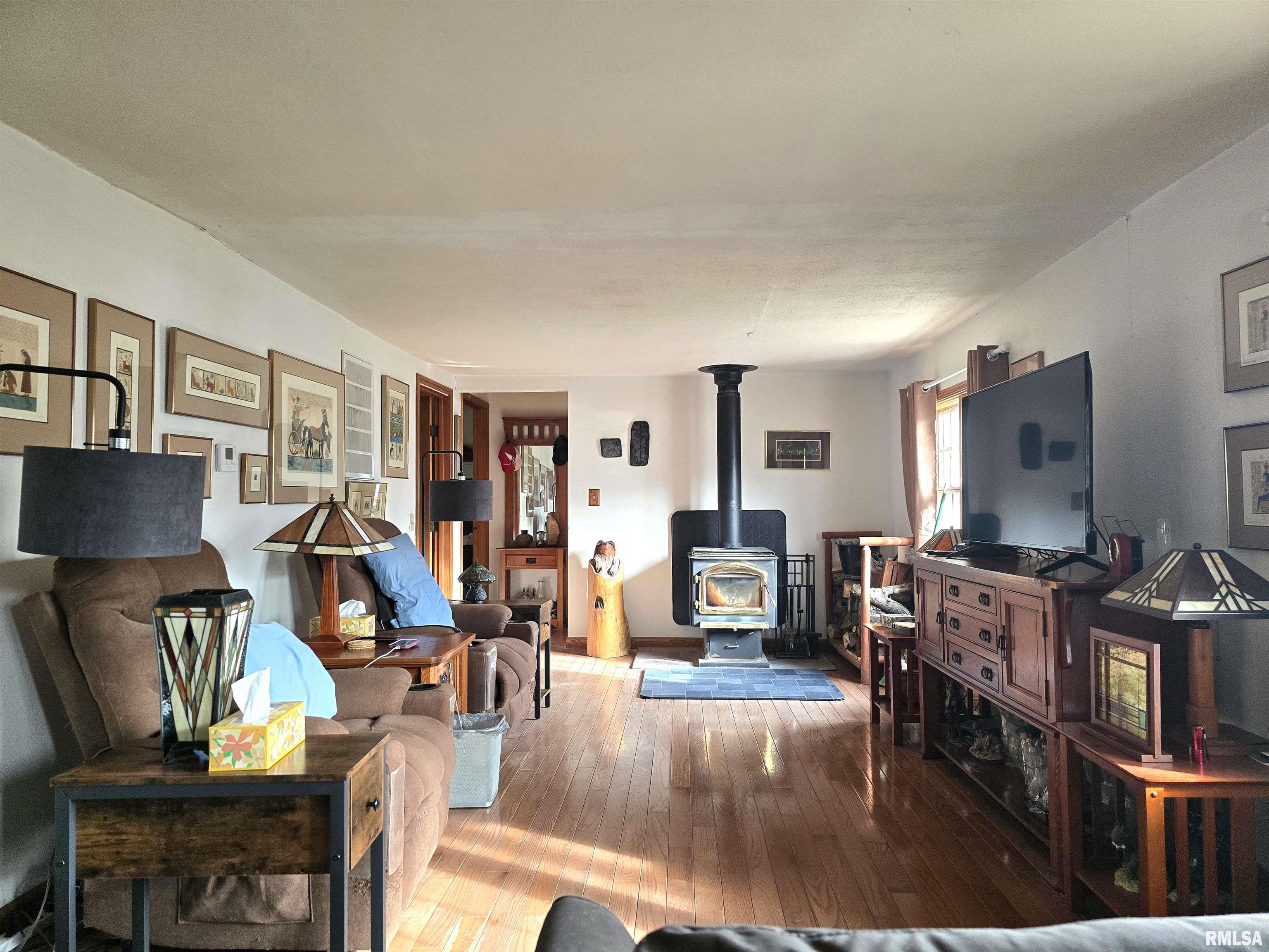 15234 Highway 123 Tallula, IL 62688 - Photo 3 of 30