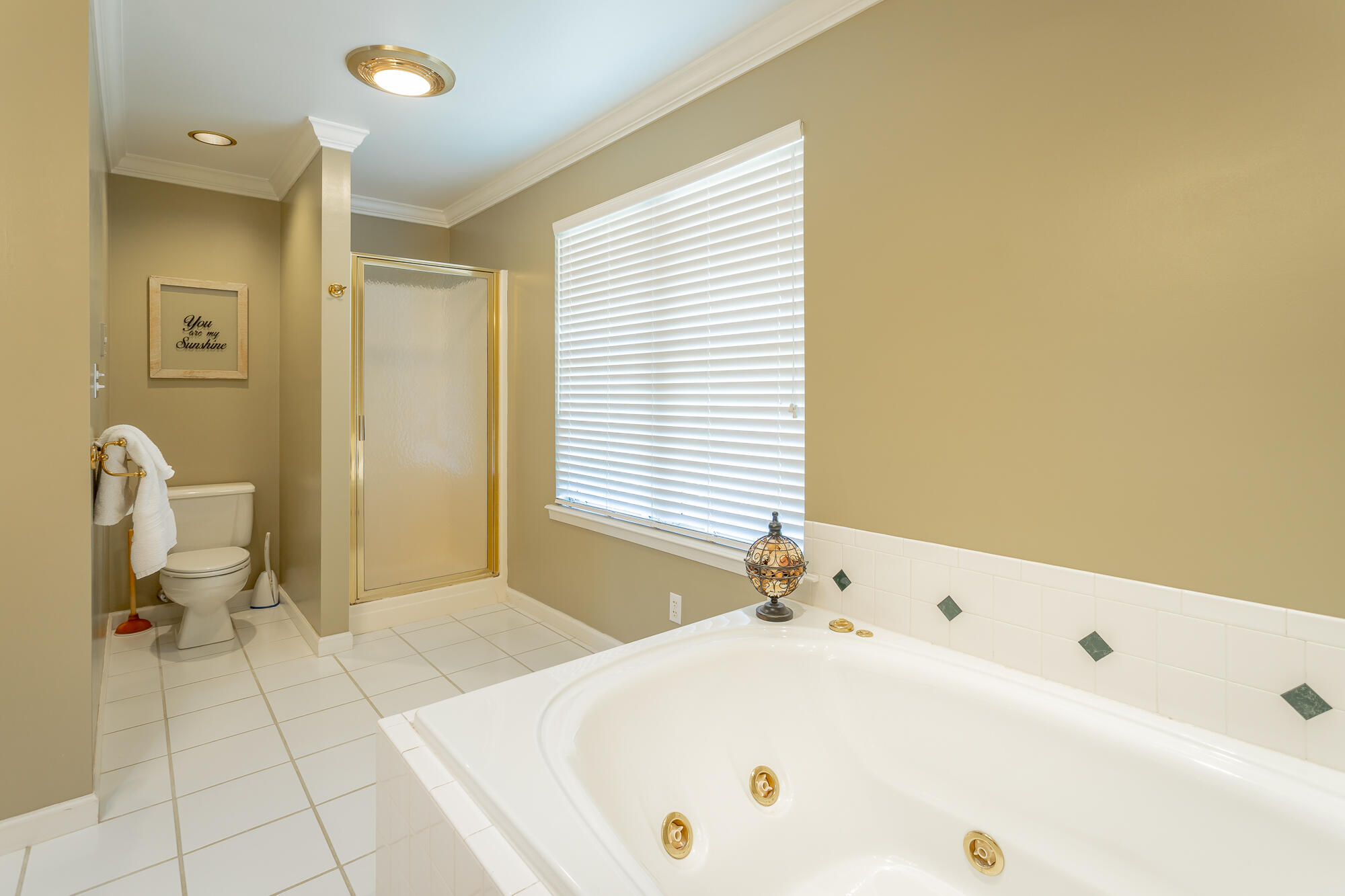 1431 Farming Rock Road Chickamauga, GA 30707 - Photo 36 of 59 Primary bathroom with jetted tub