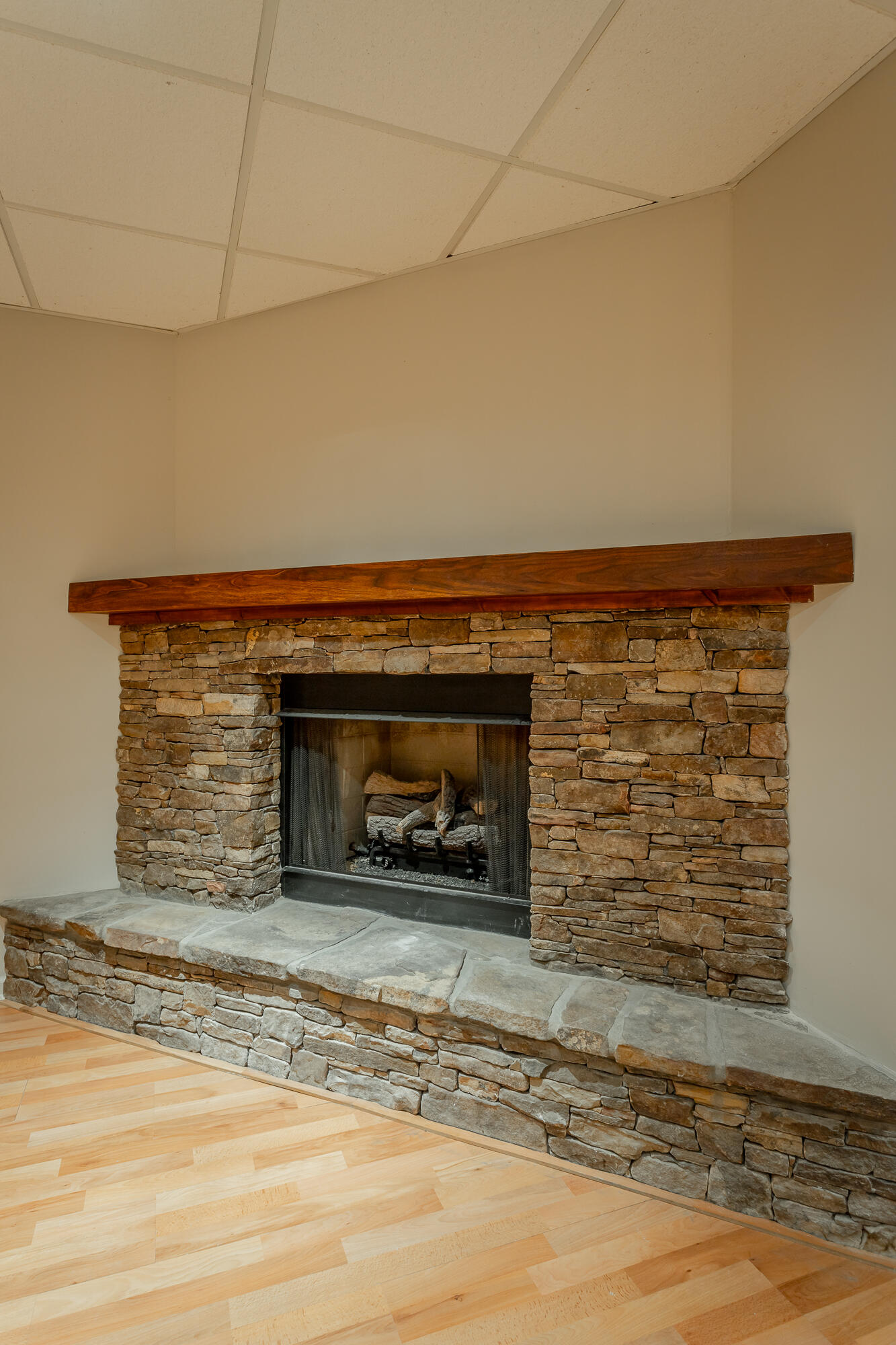 1431 Farming Rock Road Chickamauga, GA 30707 - Photo 46 of 59 Gas fireplace