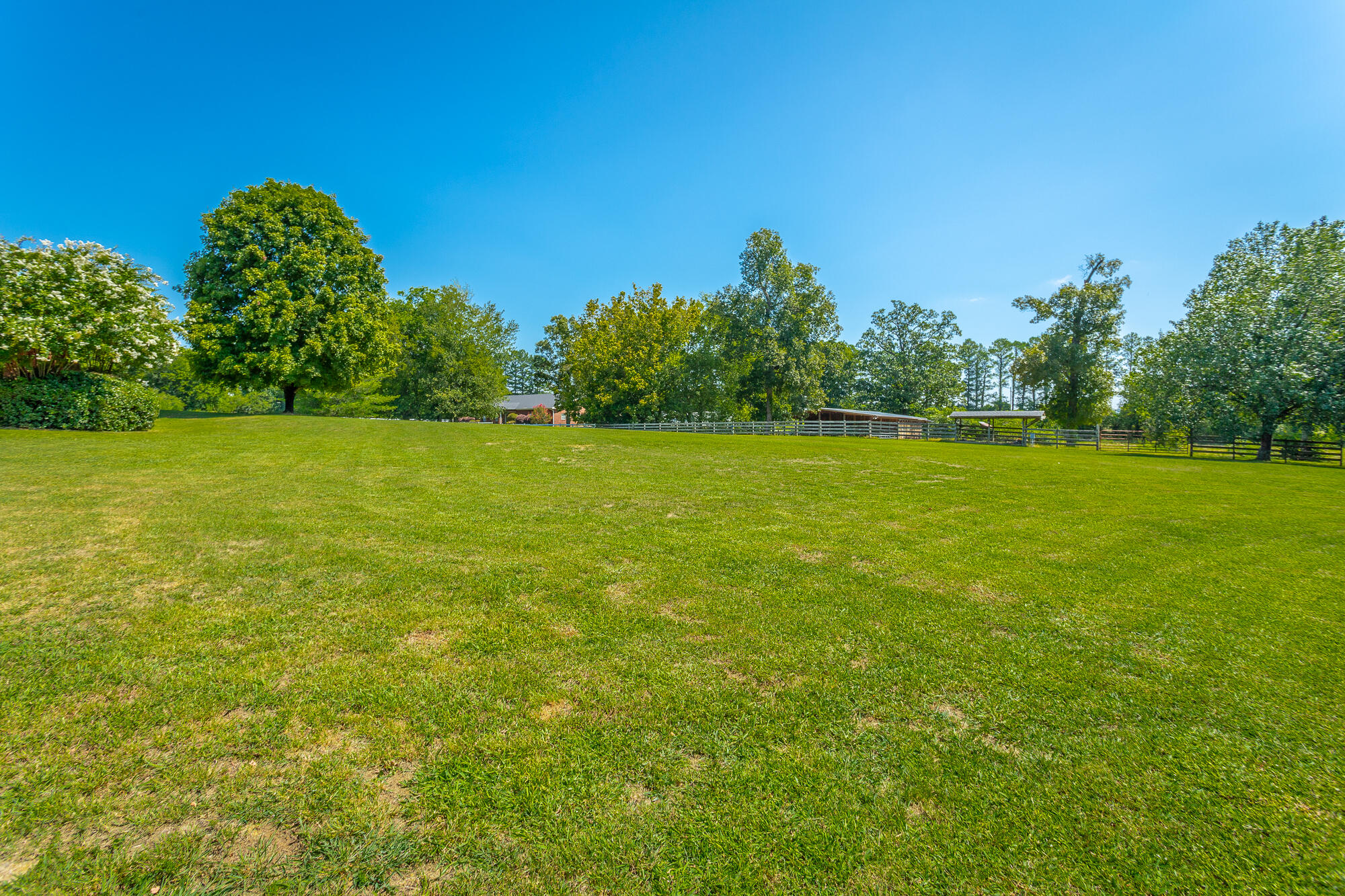 1431 Farming Rock Road Chickamauga, GA 30707 - Photo 52 of 59 Backyard